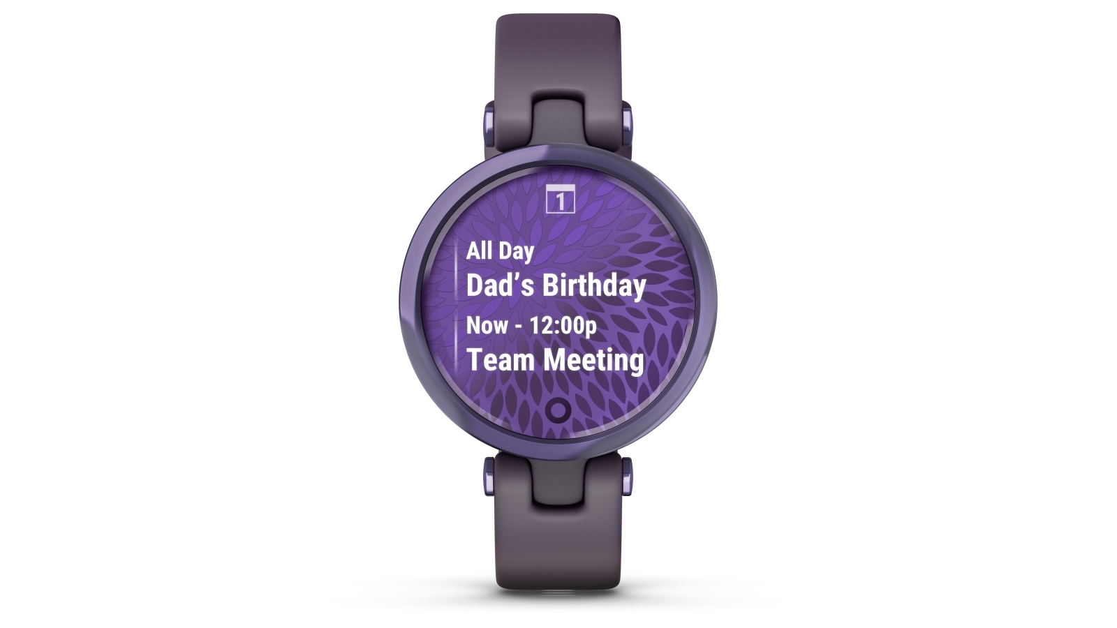 010-02384-02-garmin-lily-sport