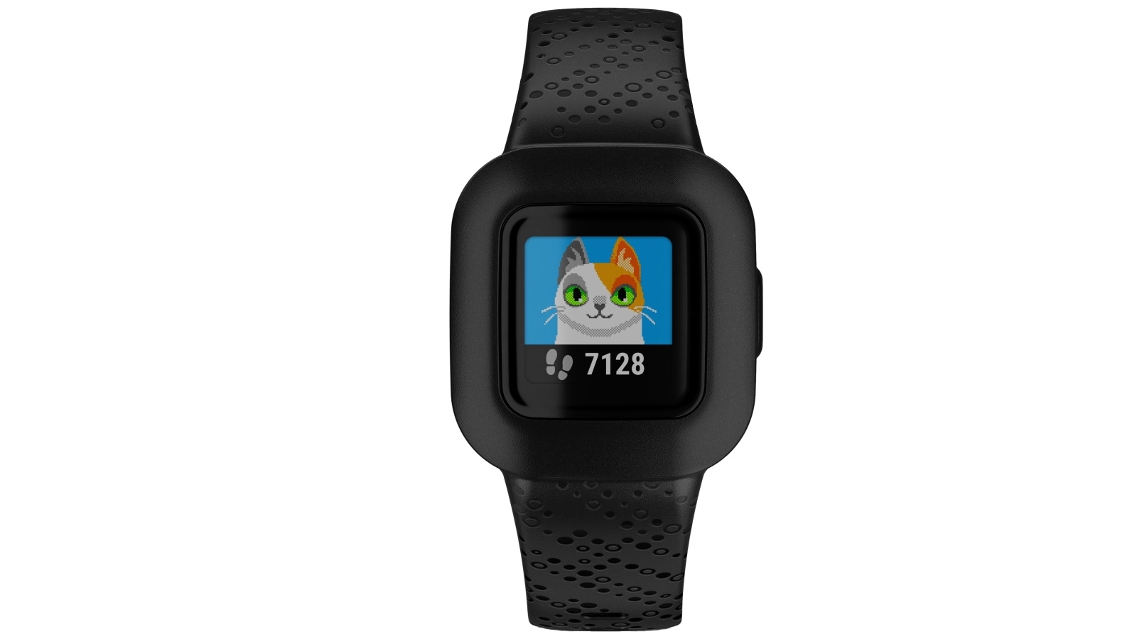 garmin fitbit 3