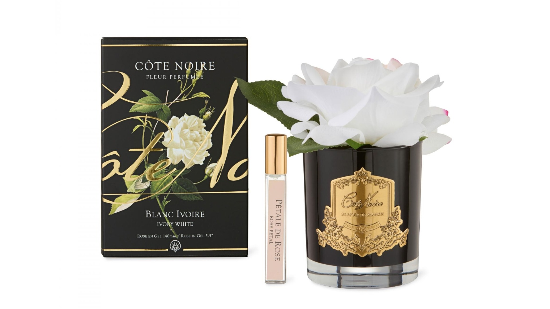 Cote Noire Gold Badge Single Ivory Rose
