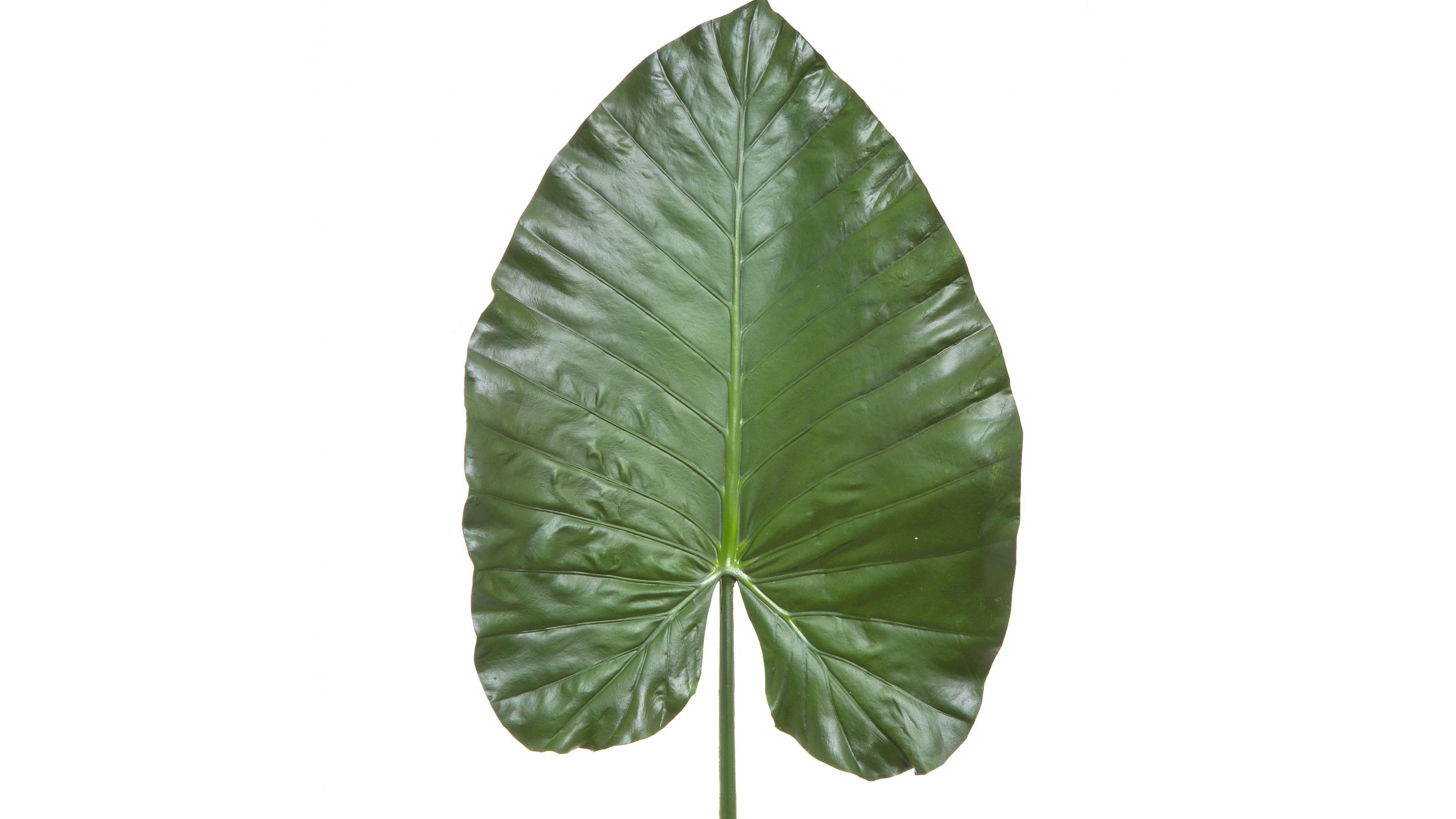 Heart 110cm Leaf