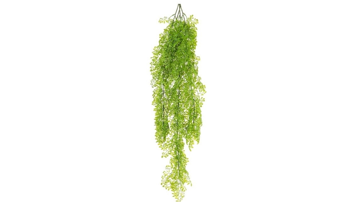 Hanging 80cm Fern