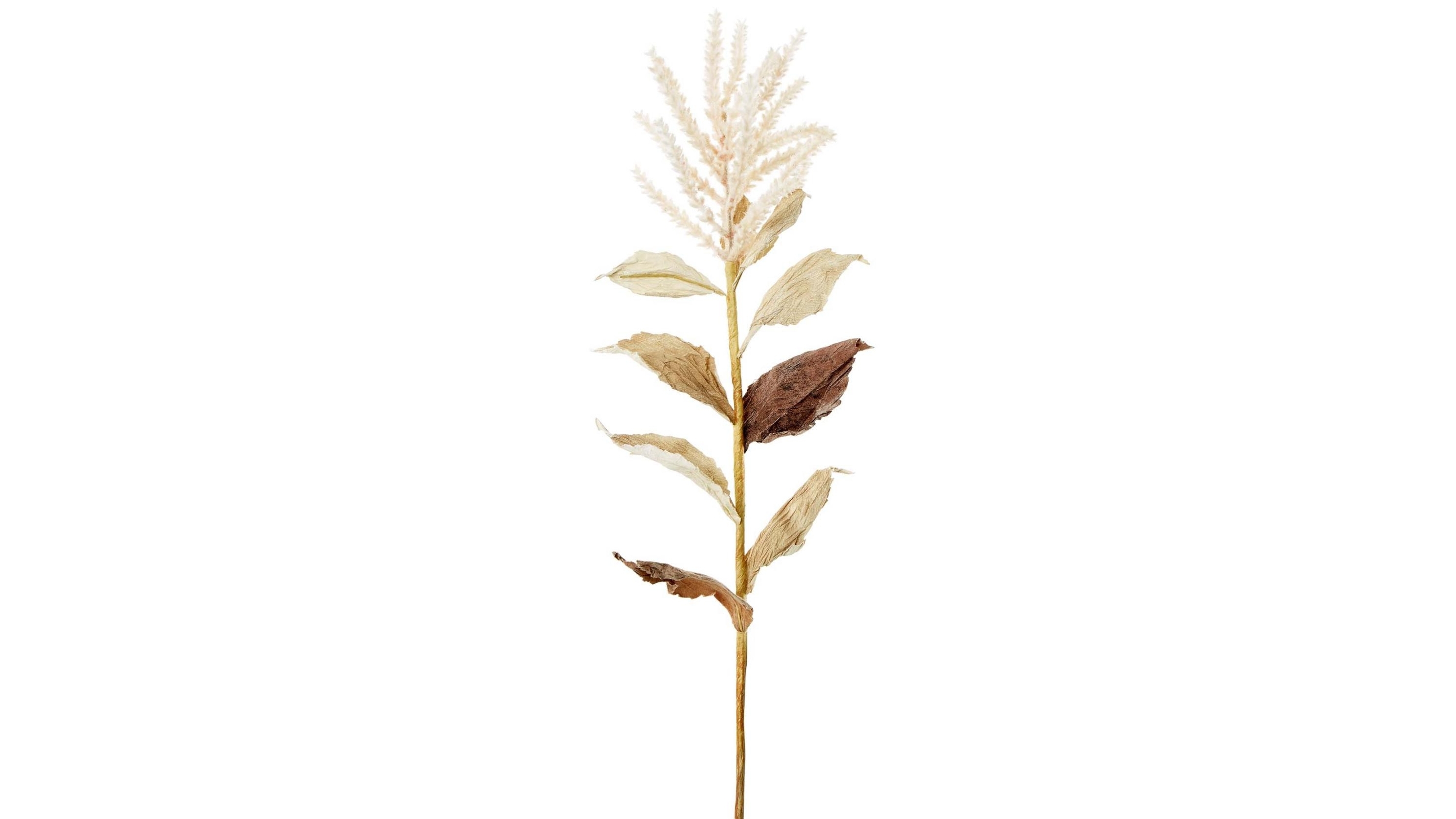 Wheat With Leaves