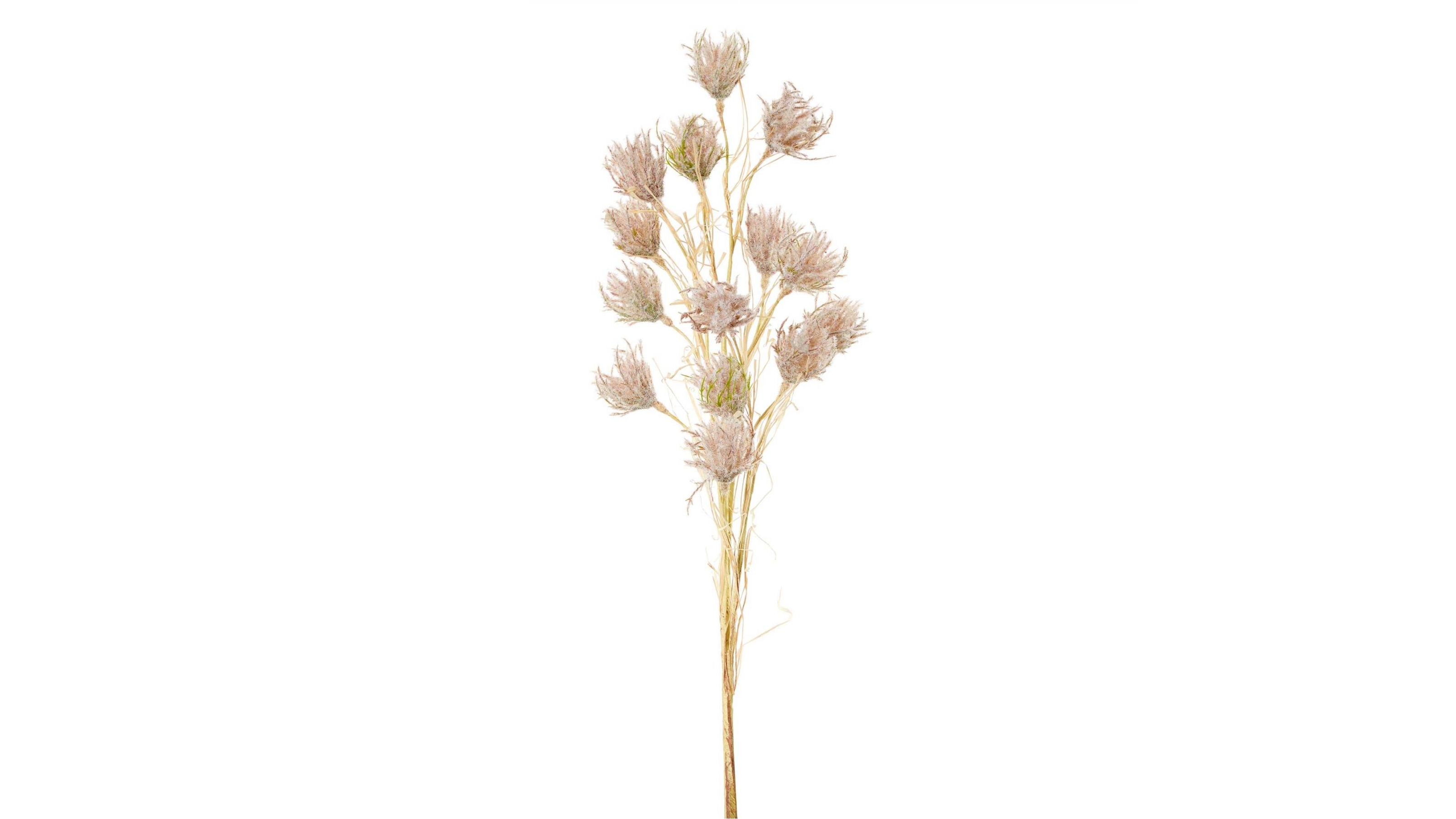 Wheat Flower 75cm Stem - Natural