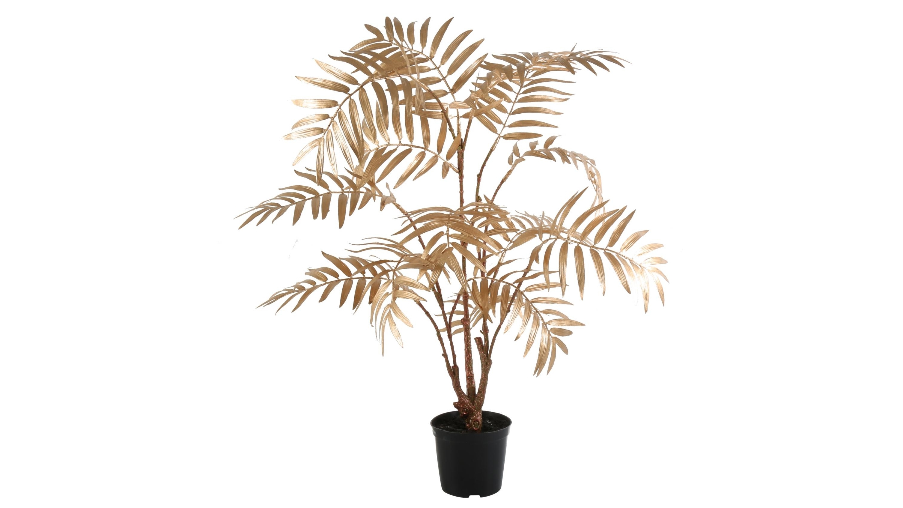 Gold Potted Palm