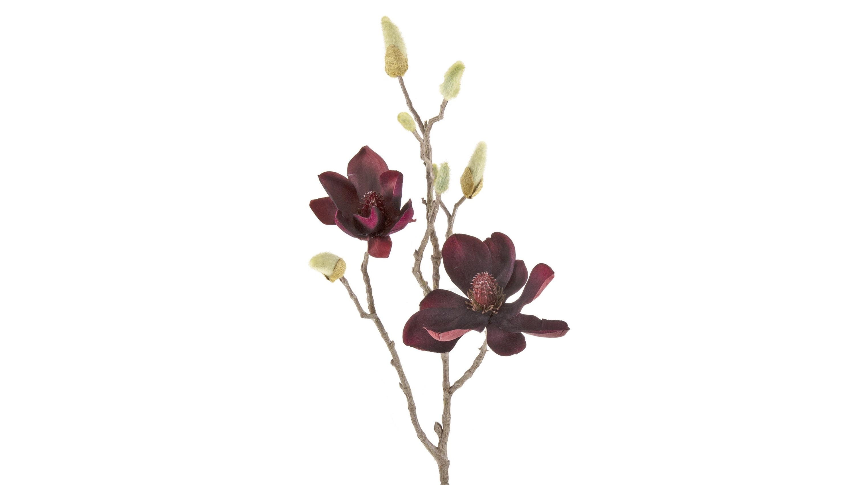 Velvet Magnolia Burgundy Spray