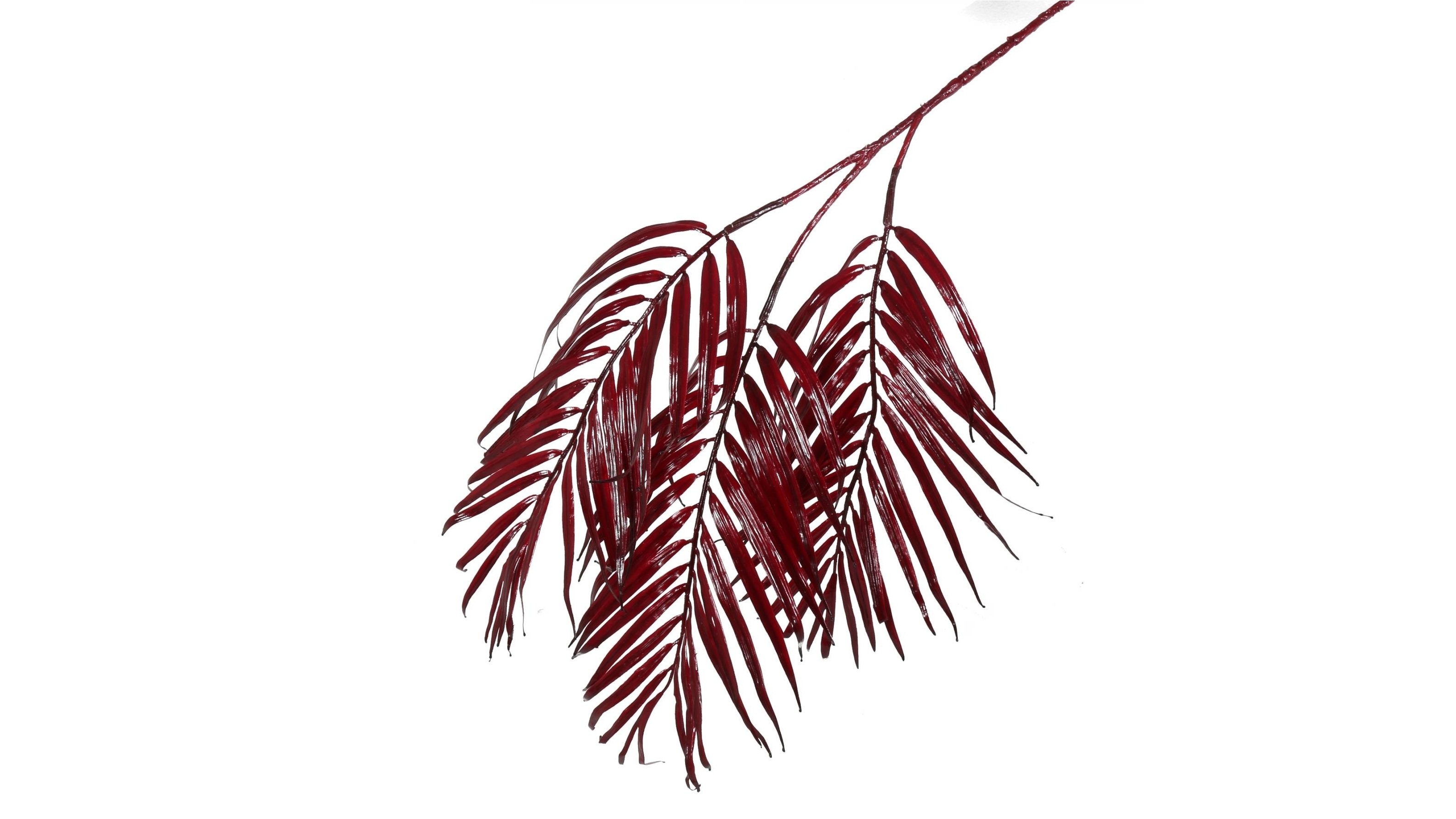 Palm Burgundy Spray