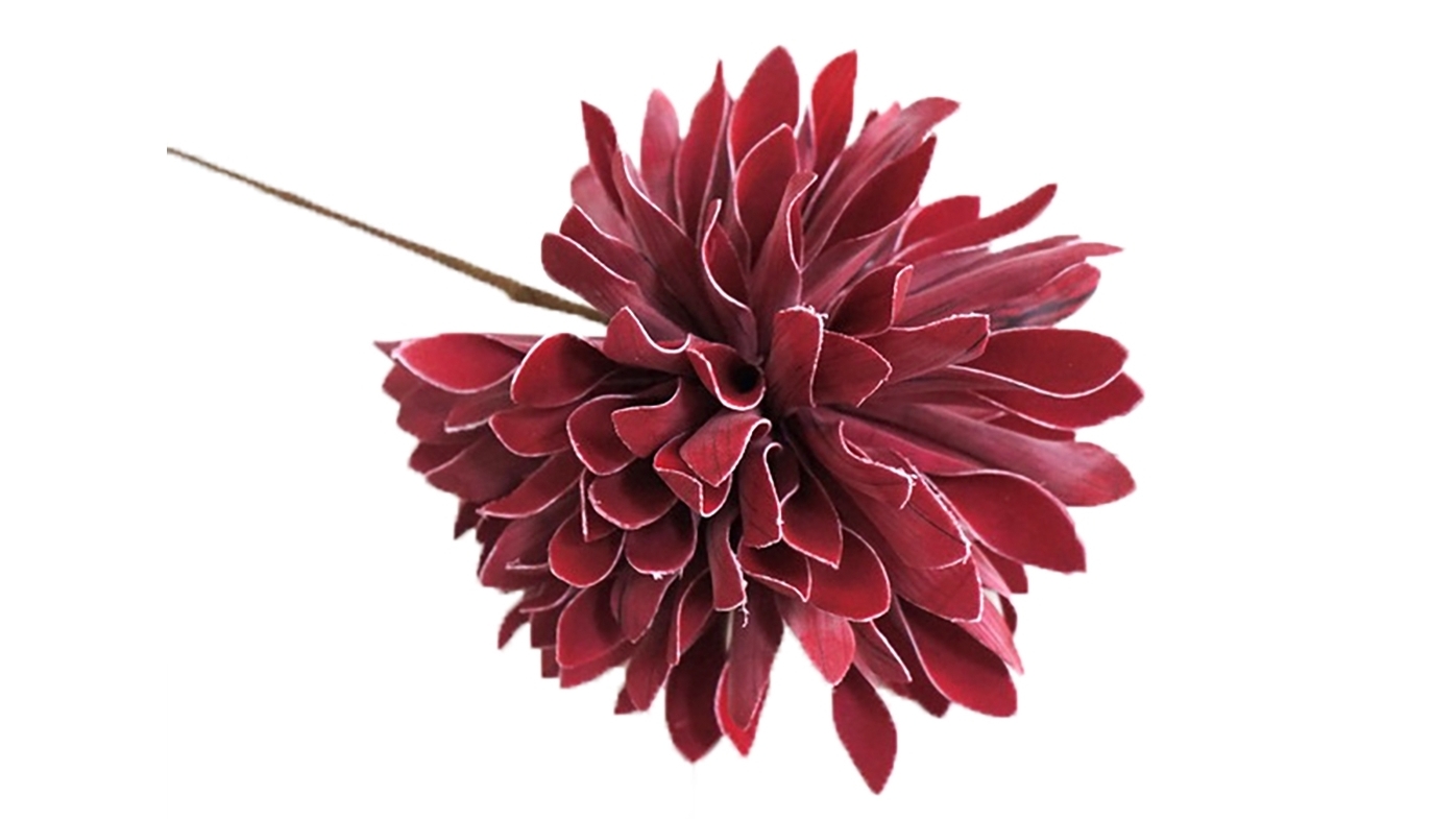 Flower Petals Branch