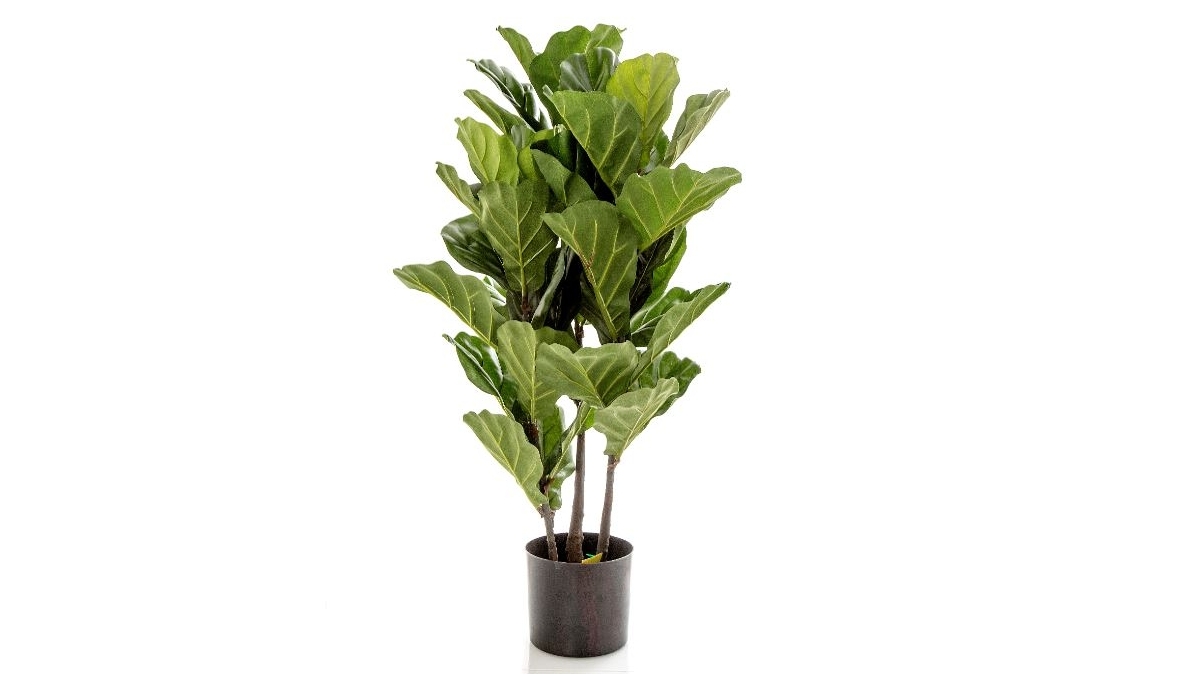 Fiddle Leaf 93cm Tree