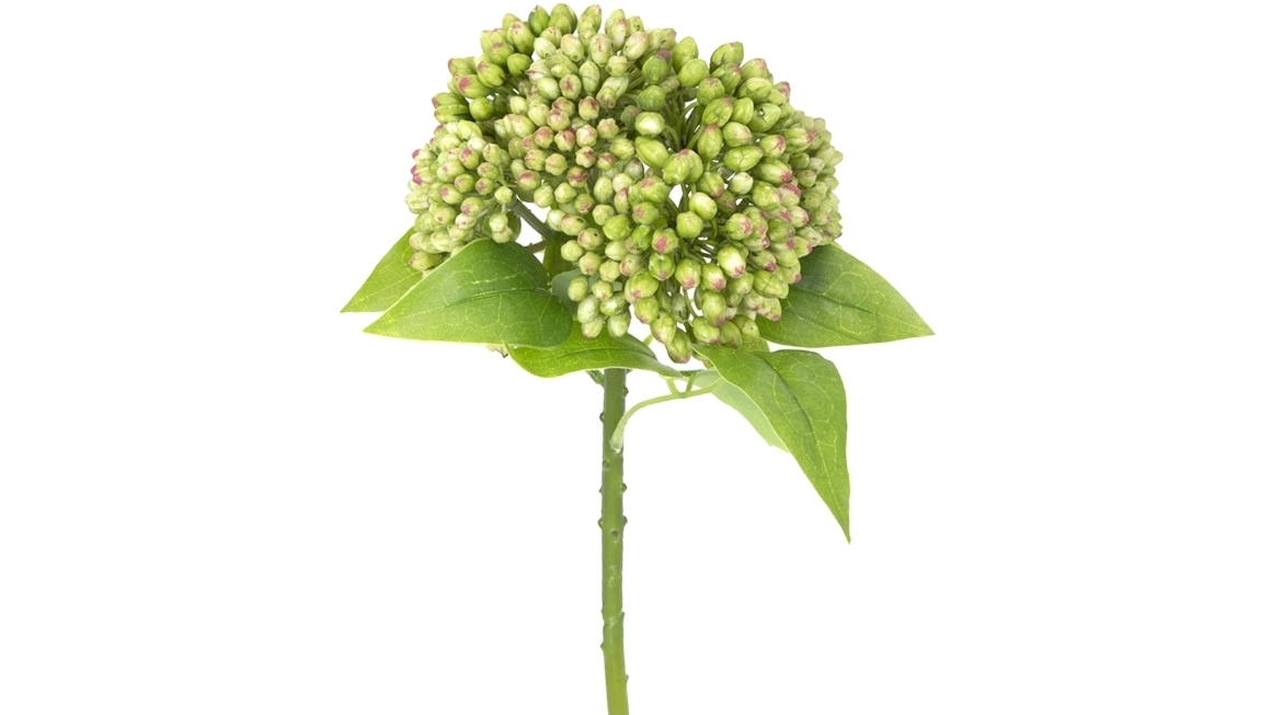 Berry 43cm Green Stem 