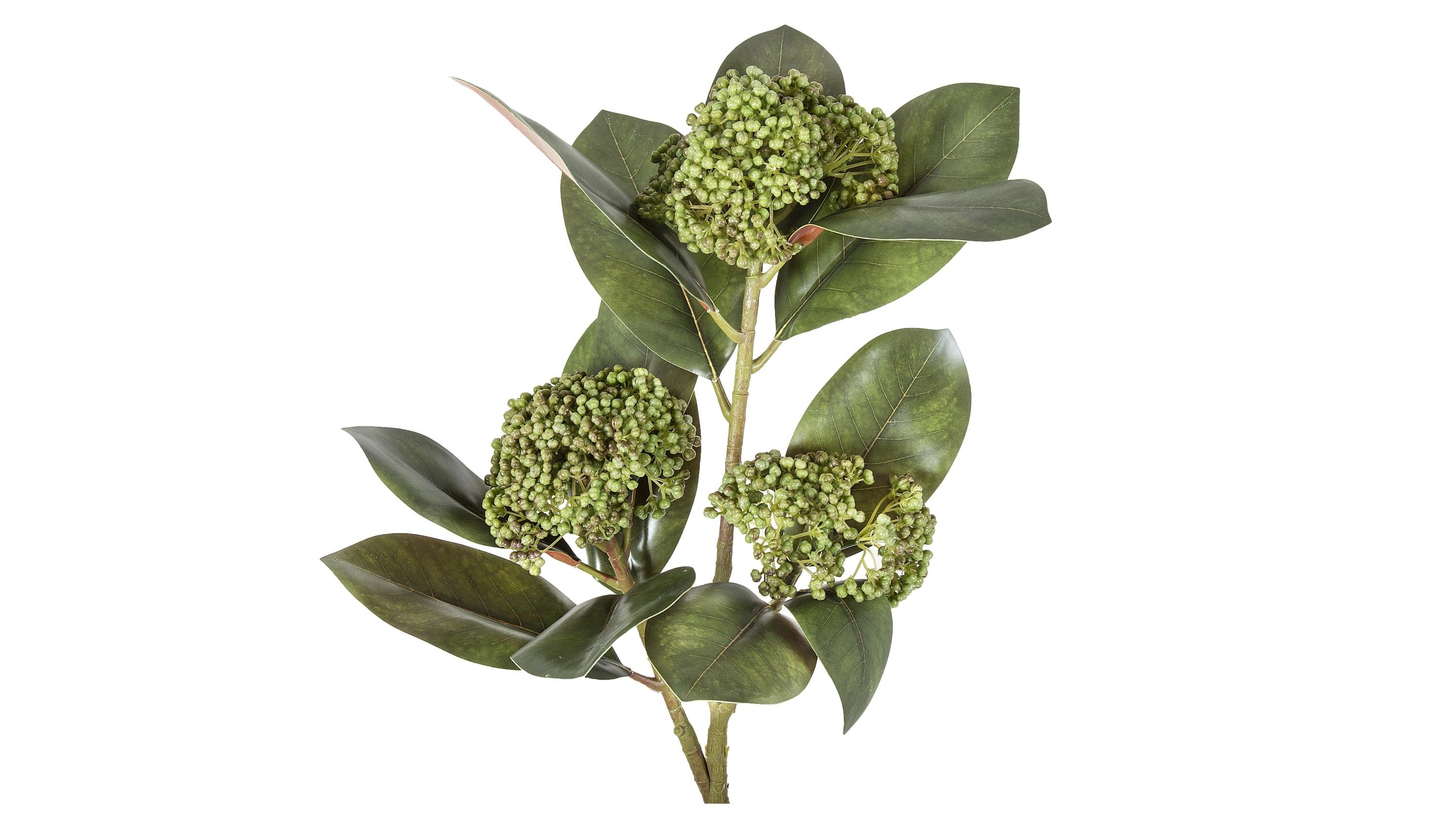 Magnolia Berry 80cm Spray