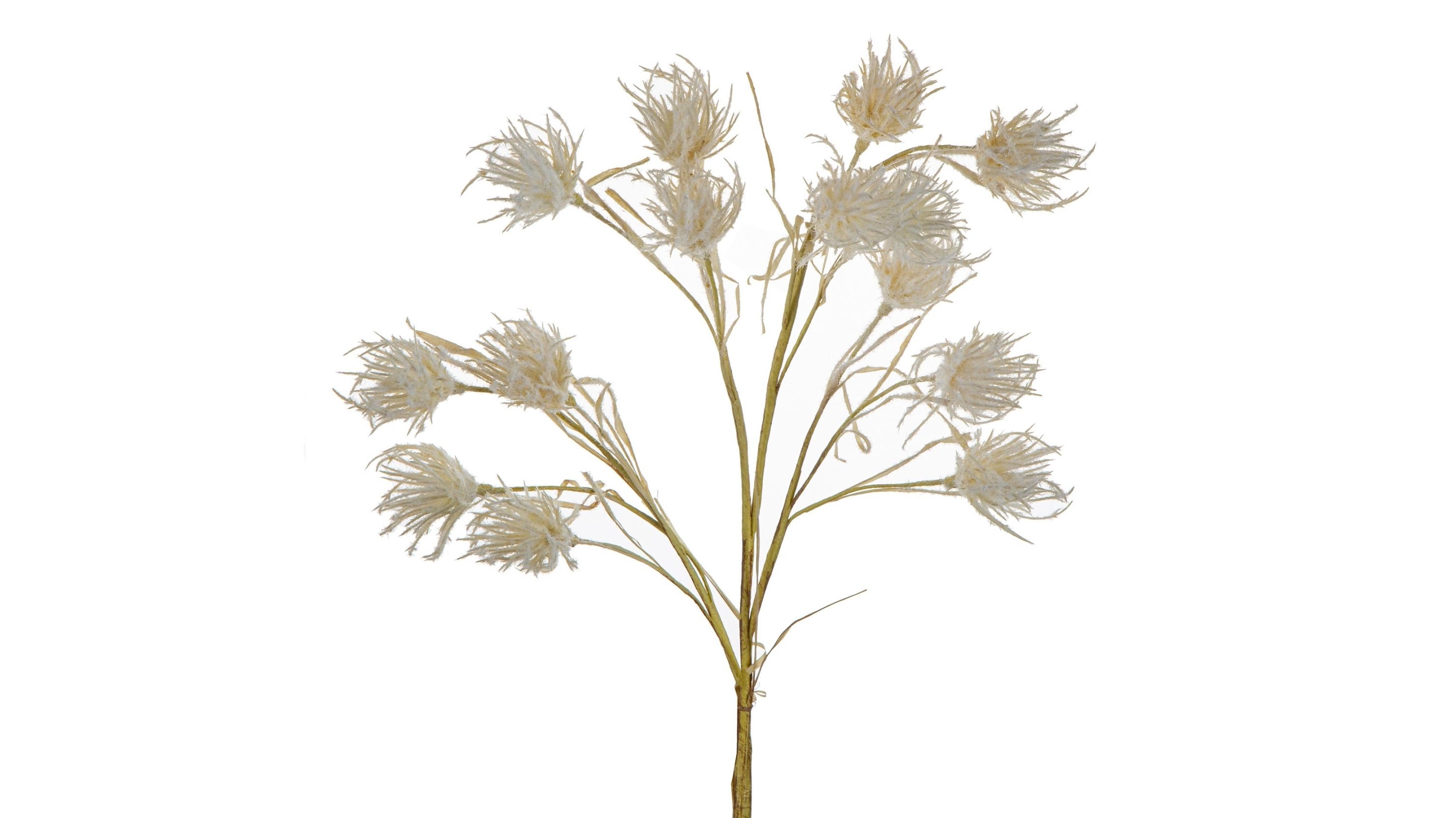 Wheat Flower 75cm Stem - White
