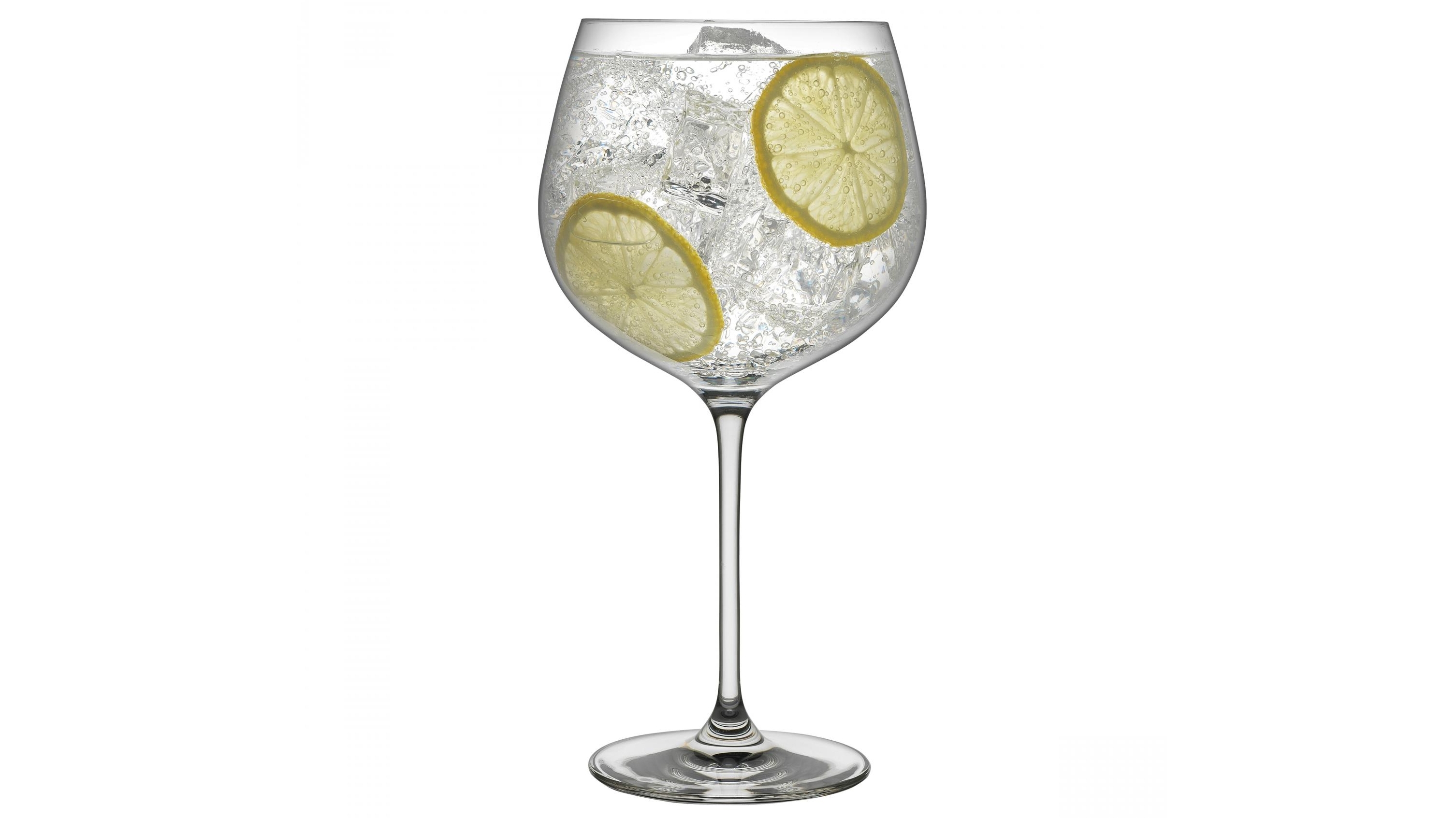 Ecology Set of 4 Classic Gin Glass
