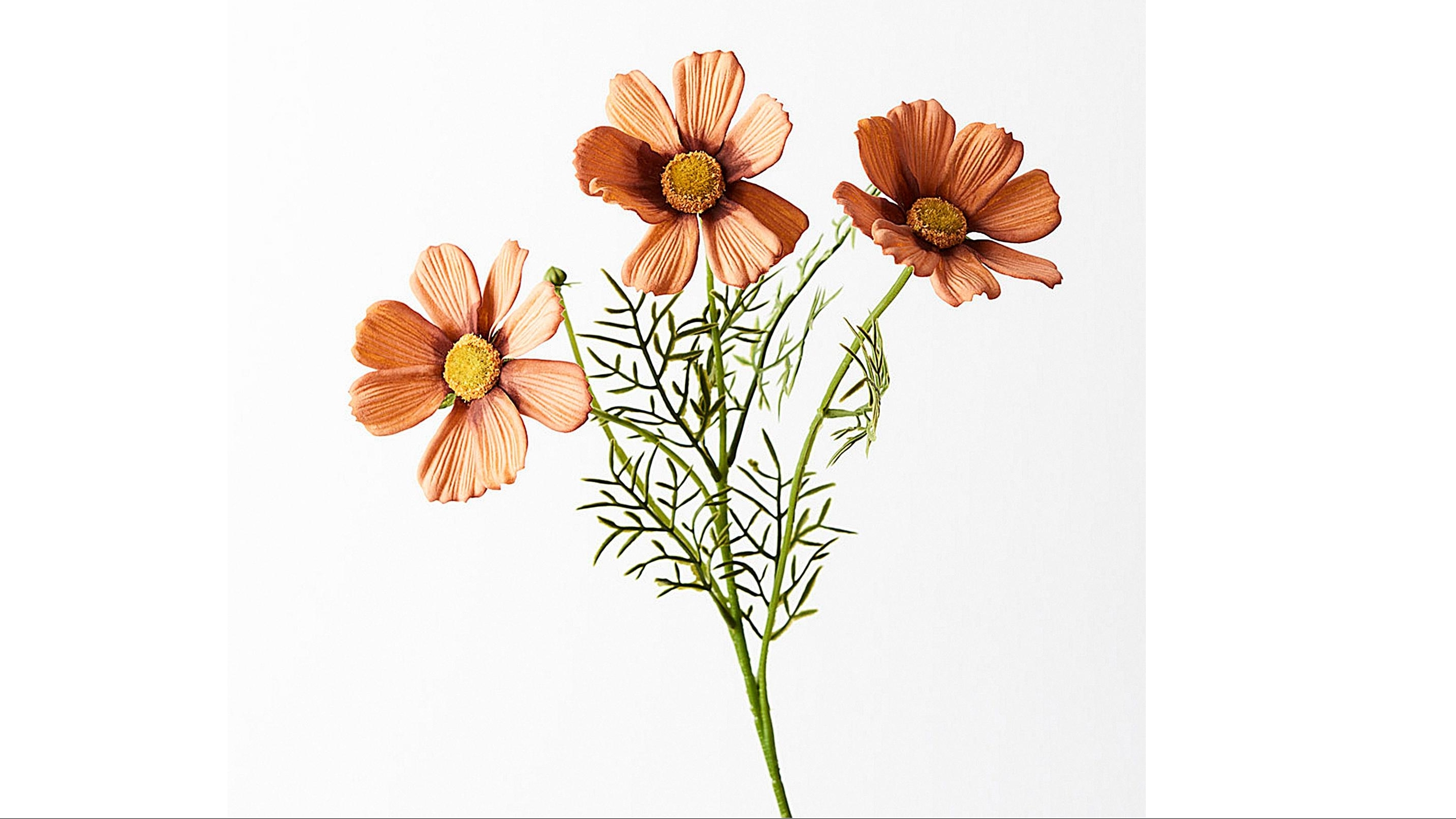 Cosmos Spray in Rust