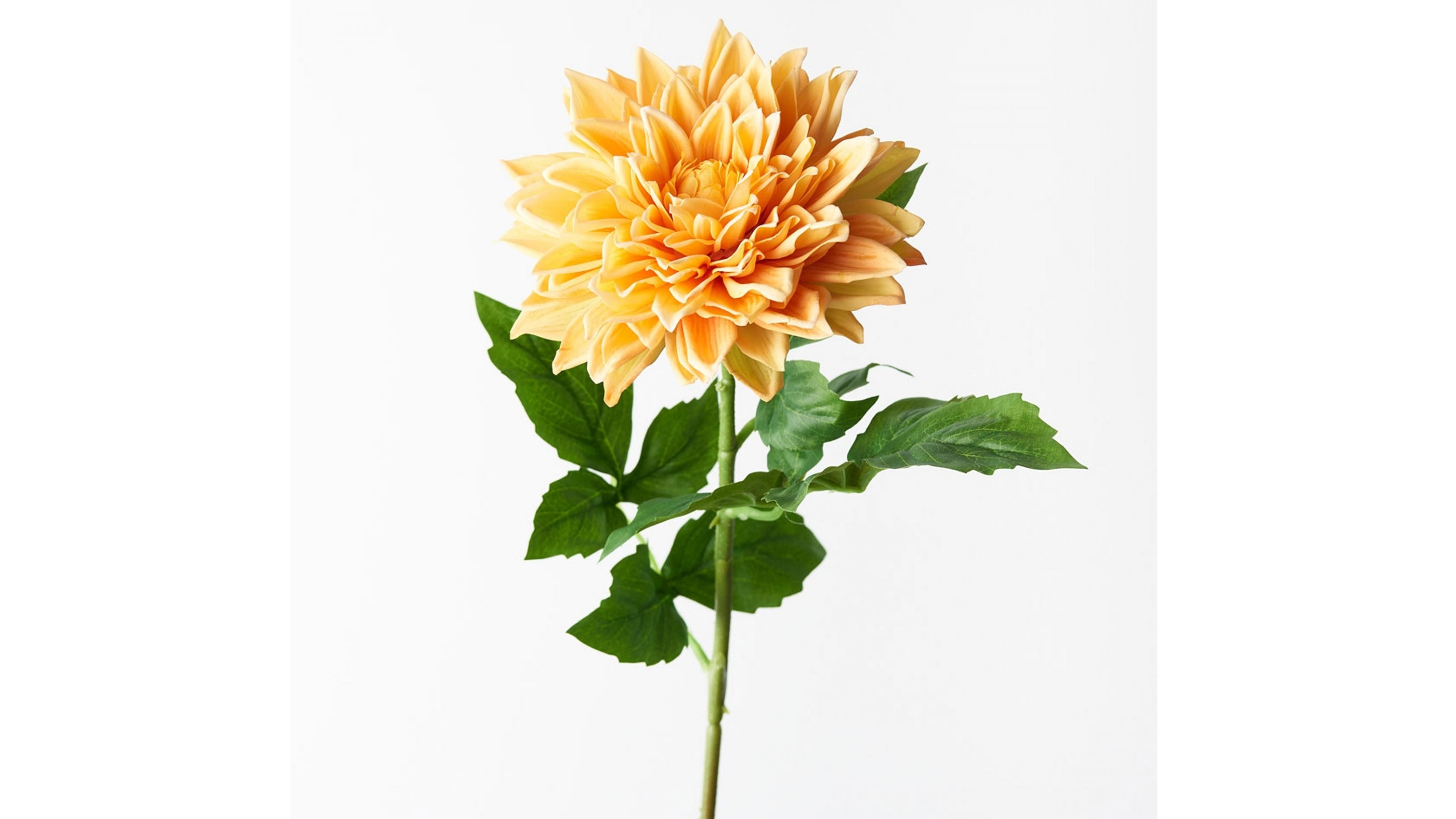 Dahlia Spray in Yellow