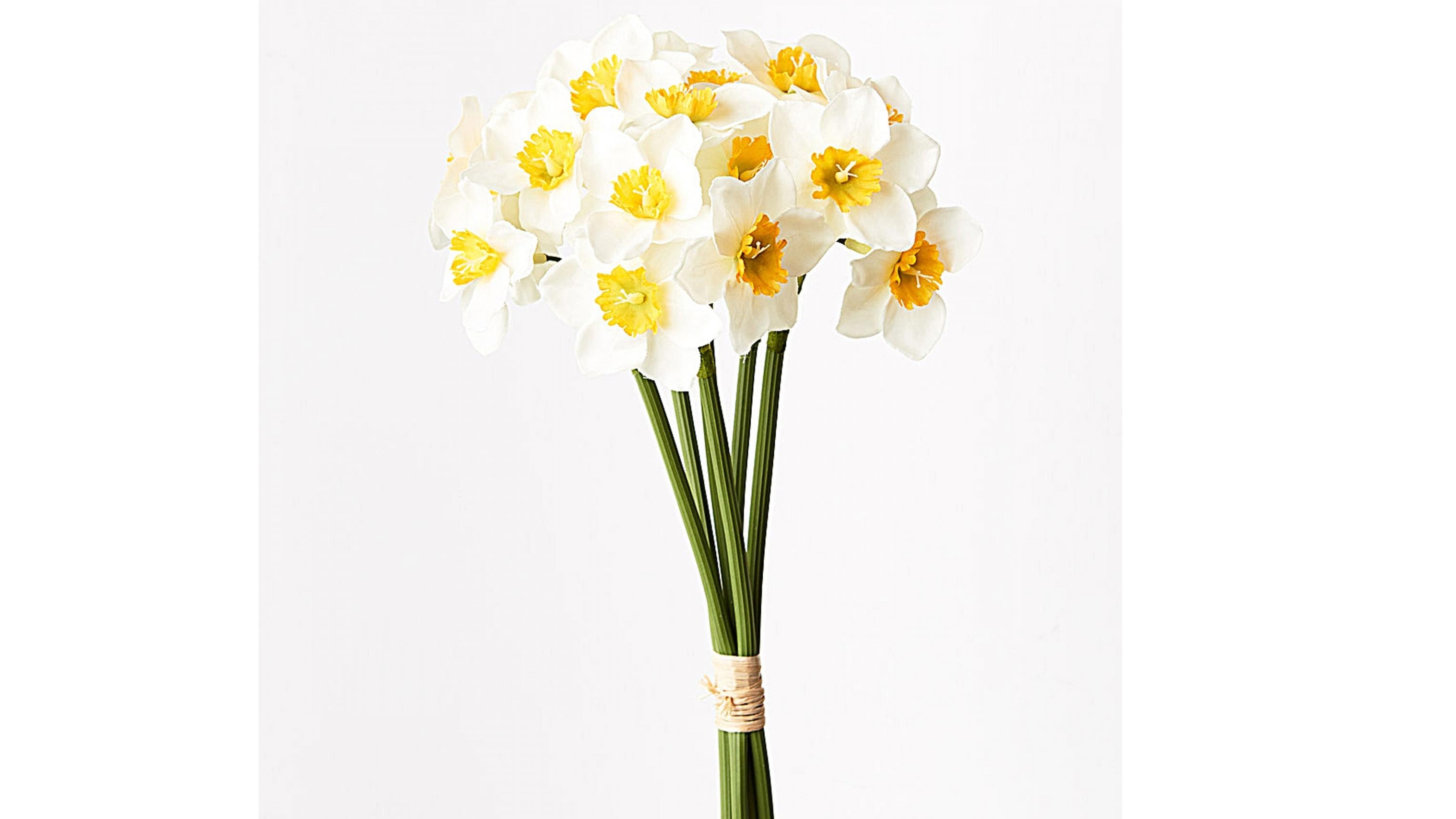 Narcissus Bouquet in White/Yellow
