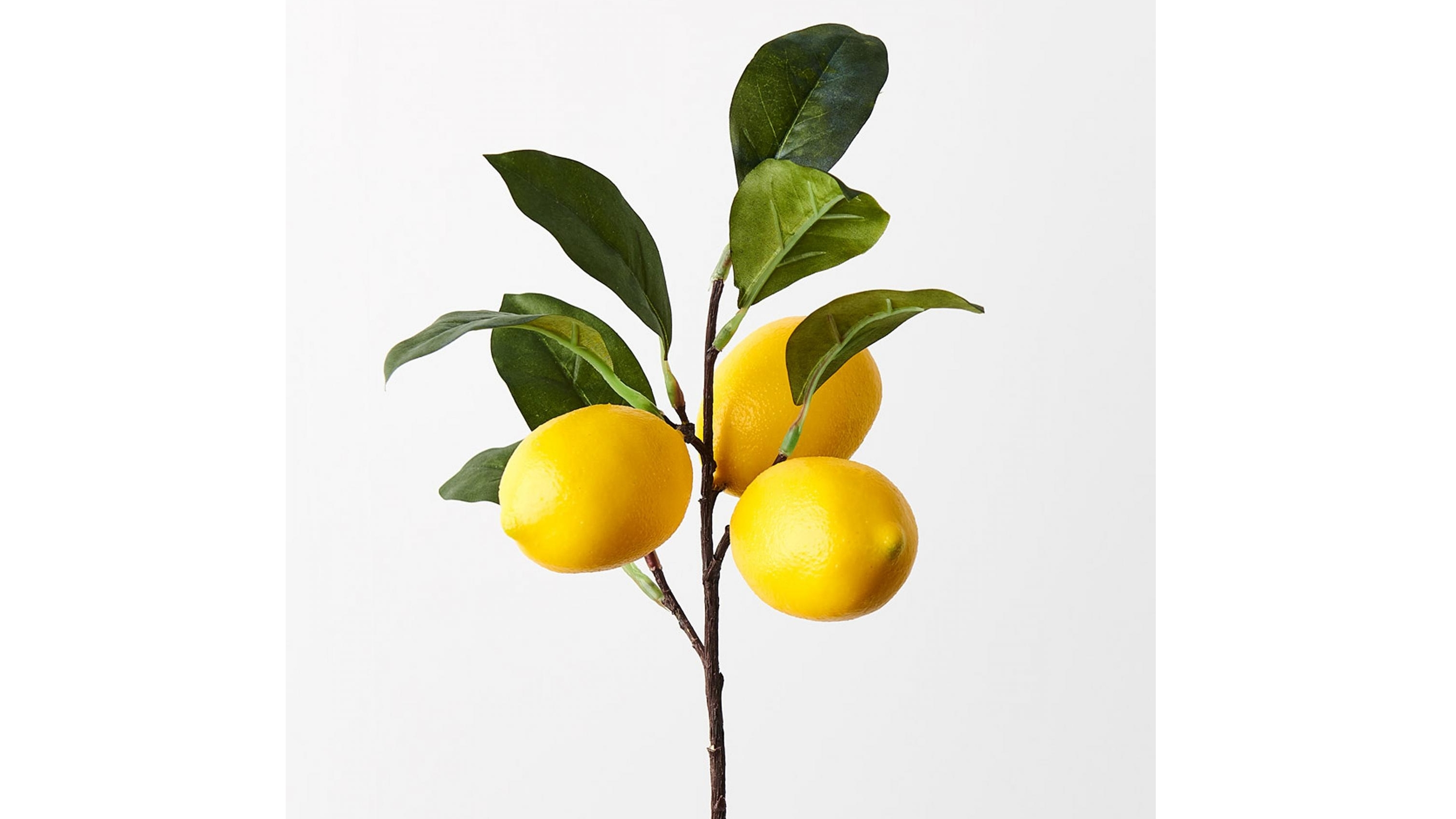 Fruit Lemon Spray in Yellow