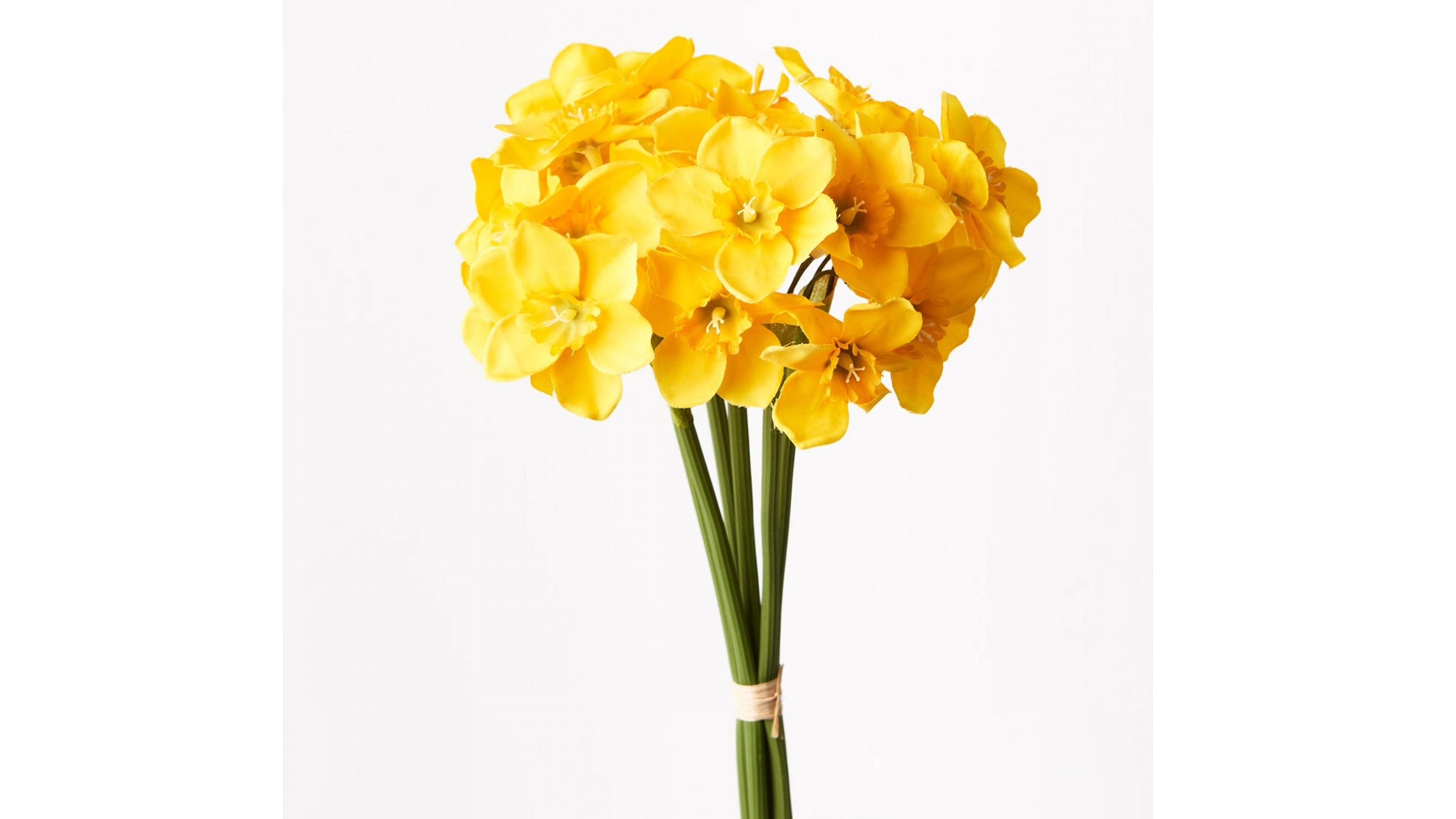 Narcissus Bouquet in Yellow