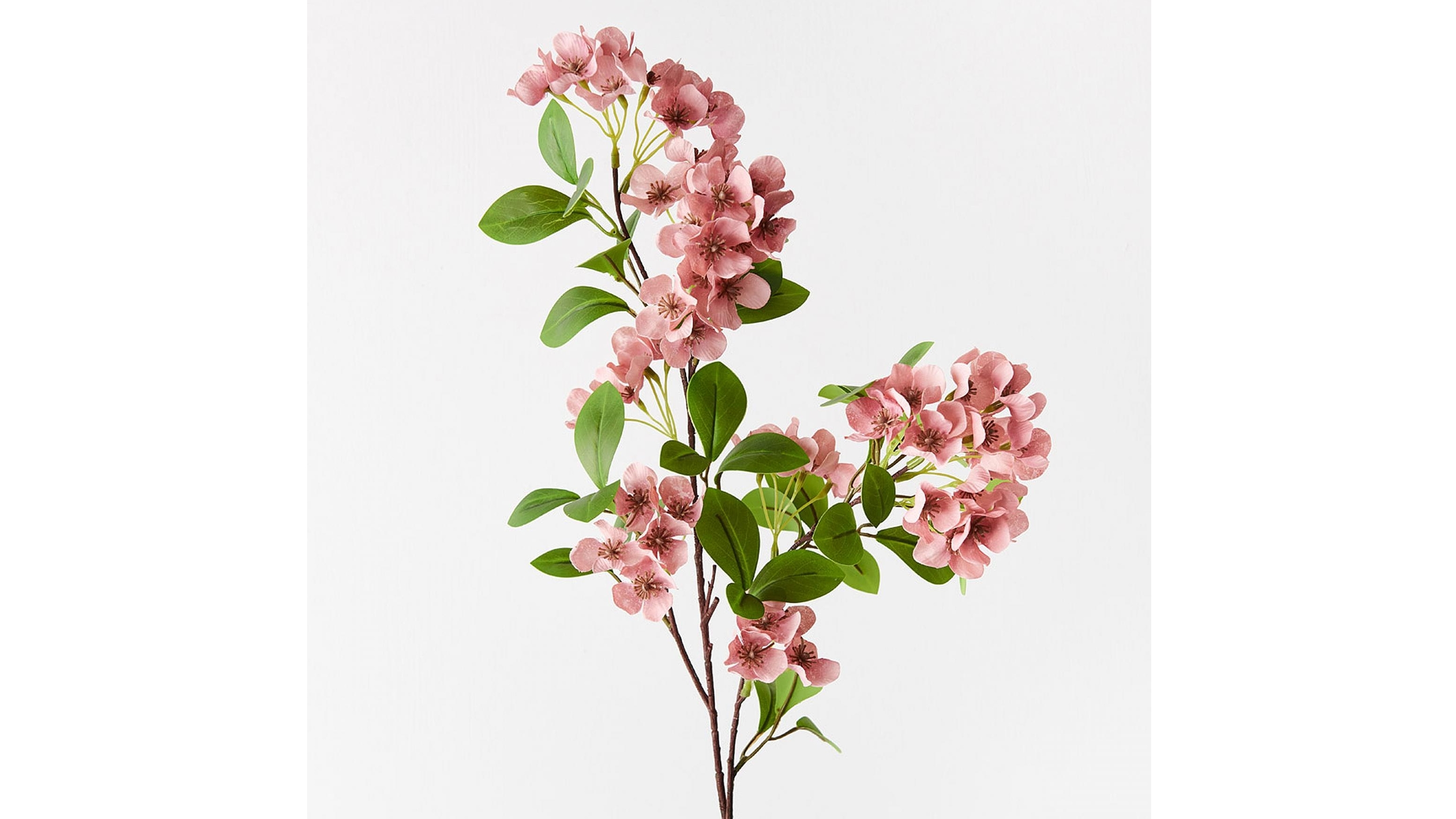 Snow Flower Spray in Dusty Pink