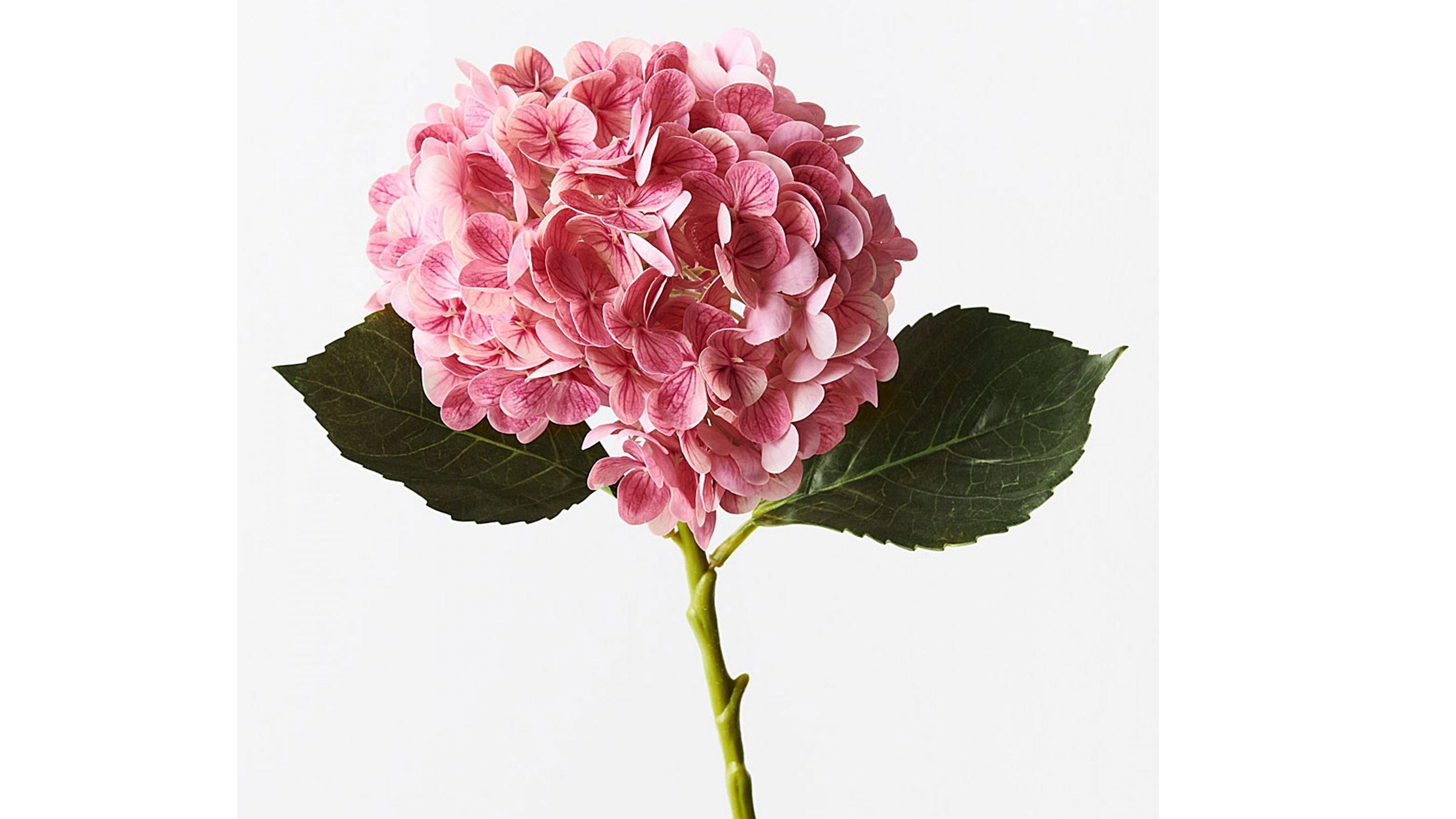 Hydrangea Stem in Pink Mauve
