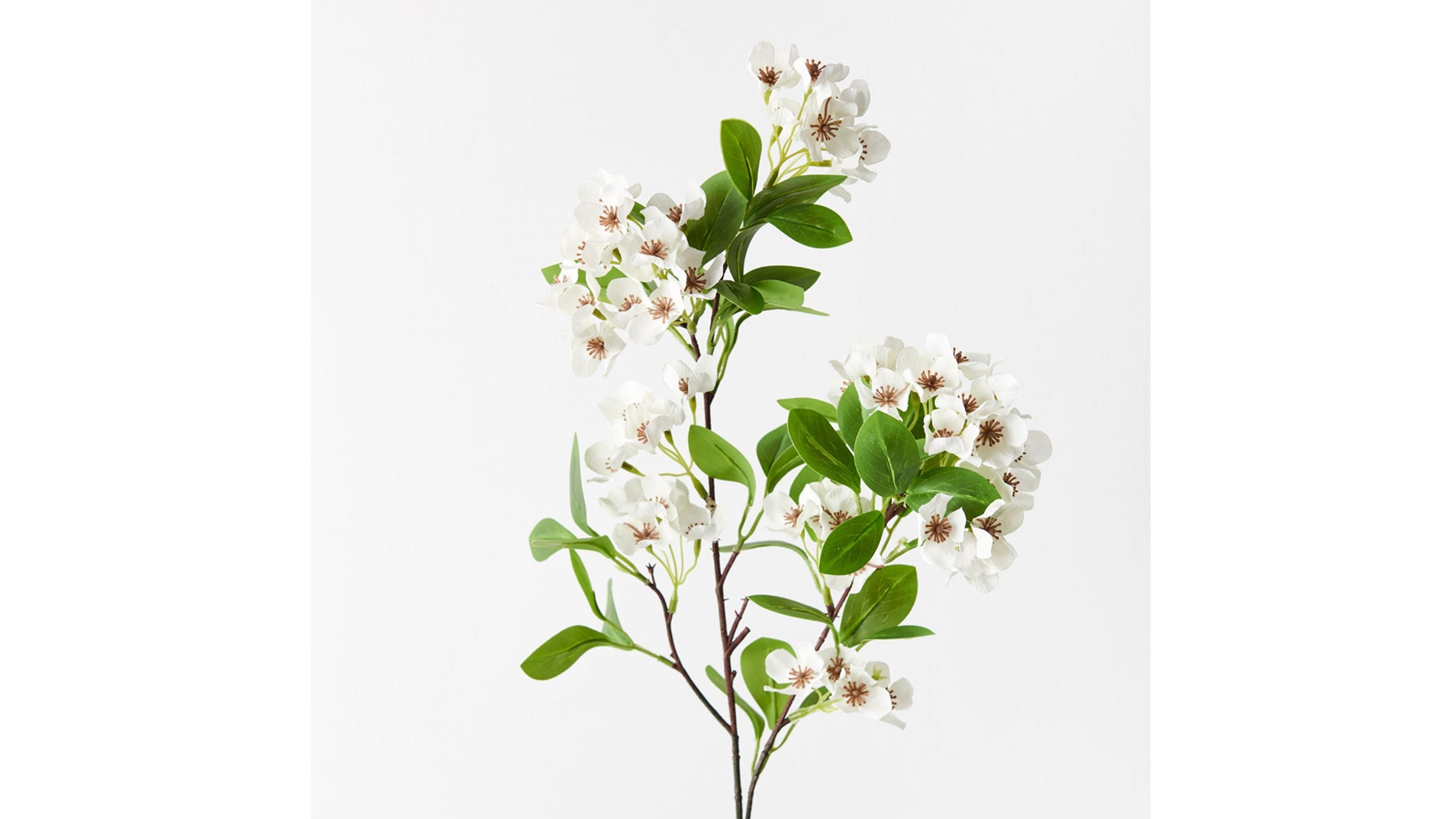 Snow Flower Spray in White