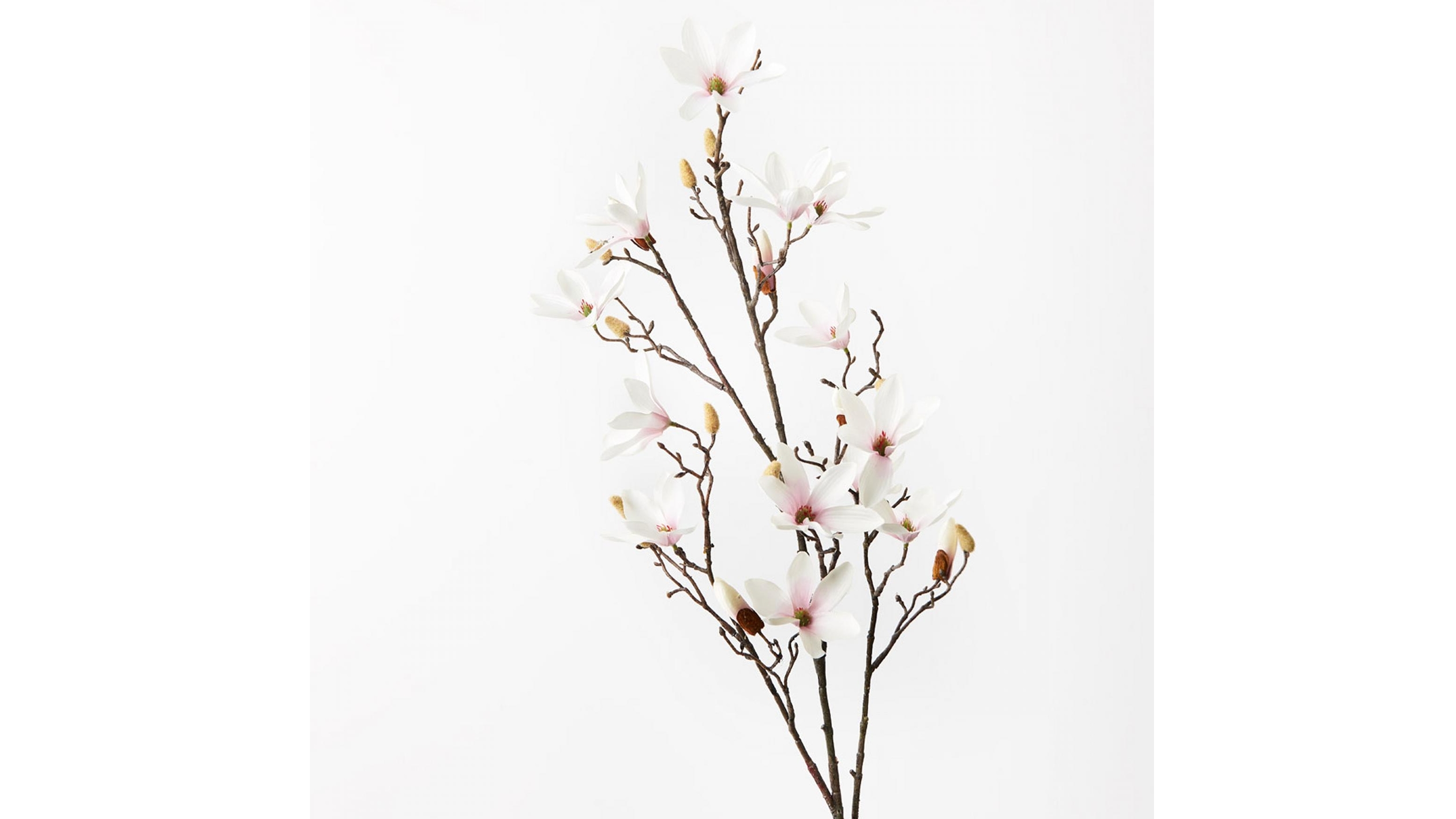 Magnolia Tree Spray in Cream Pink