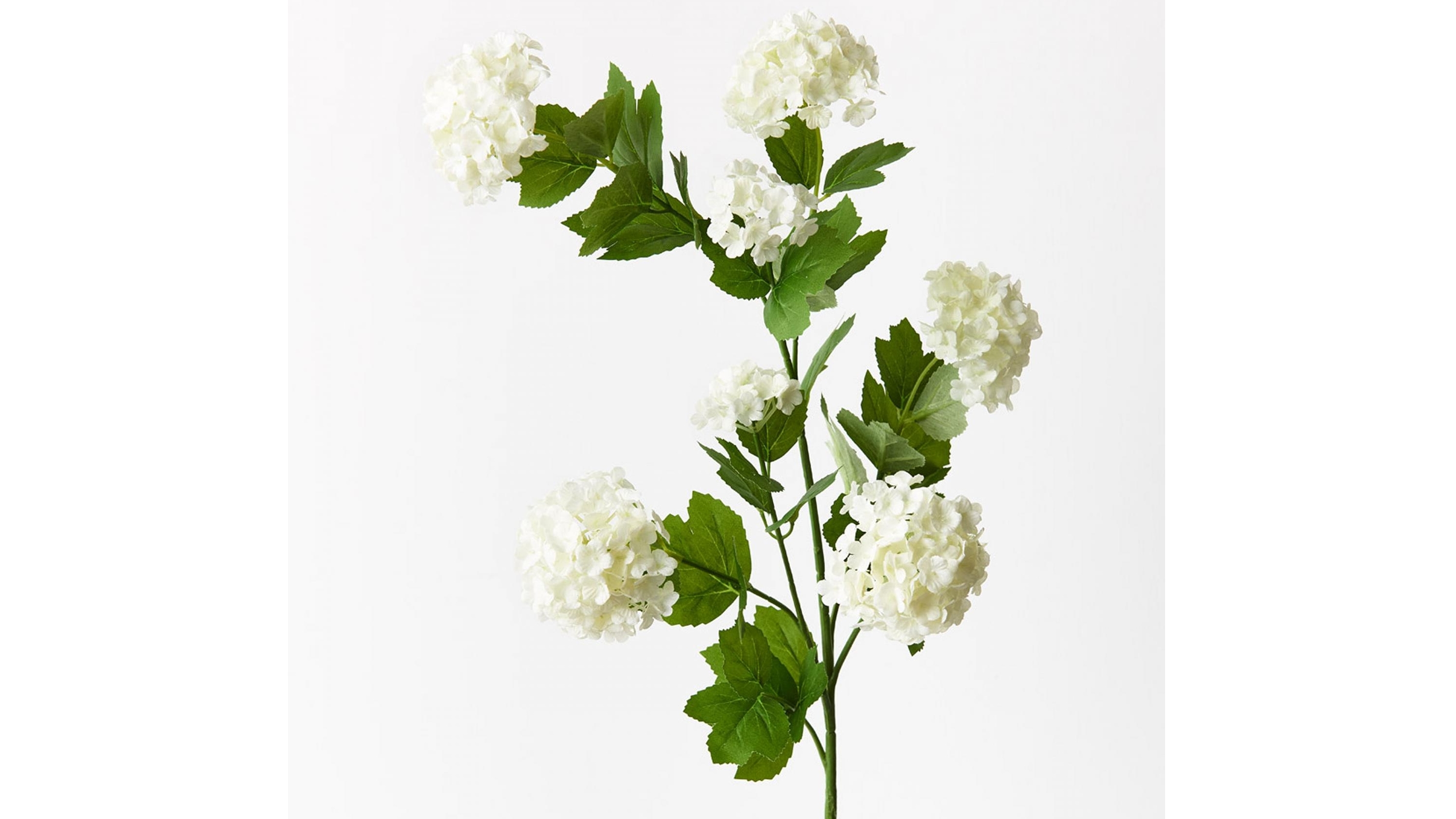 Snowball Spray in White