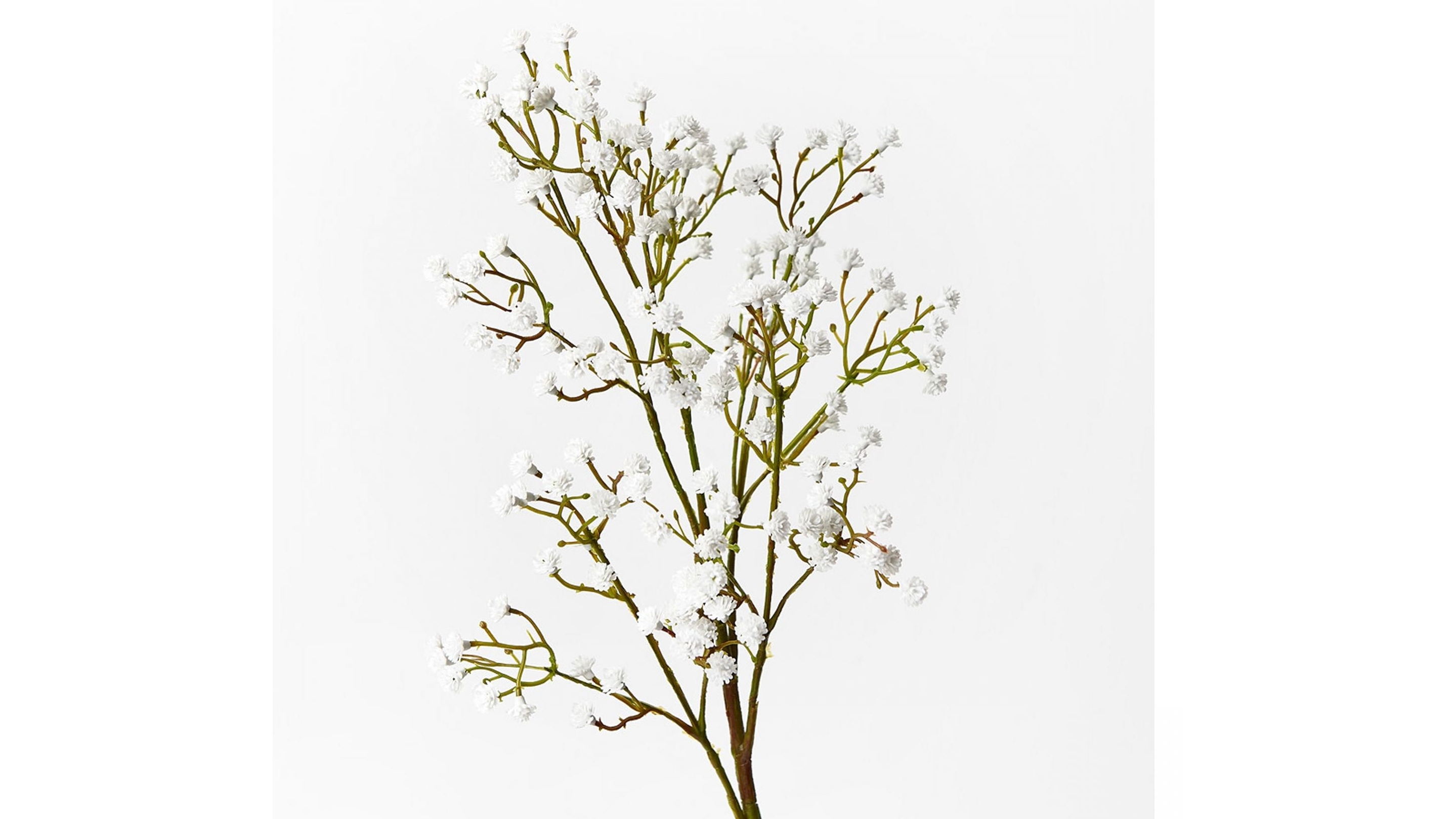 Babys Breath Spray in White