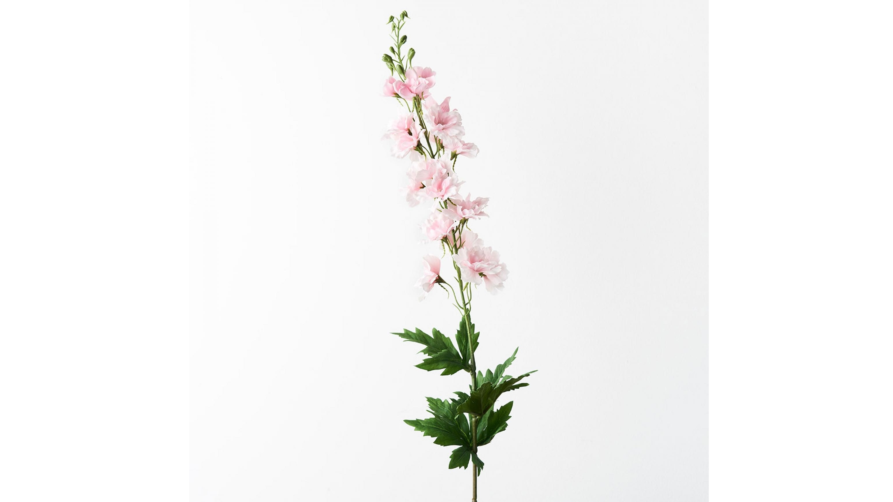 Delphinium Stem in Light Pink