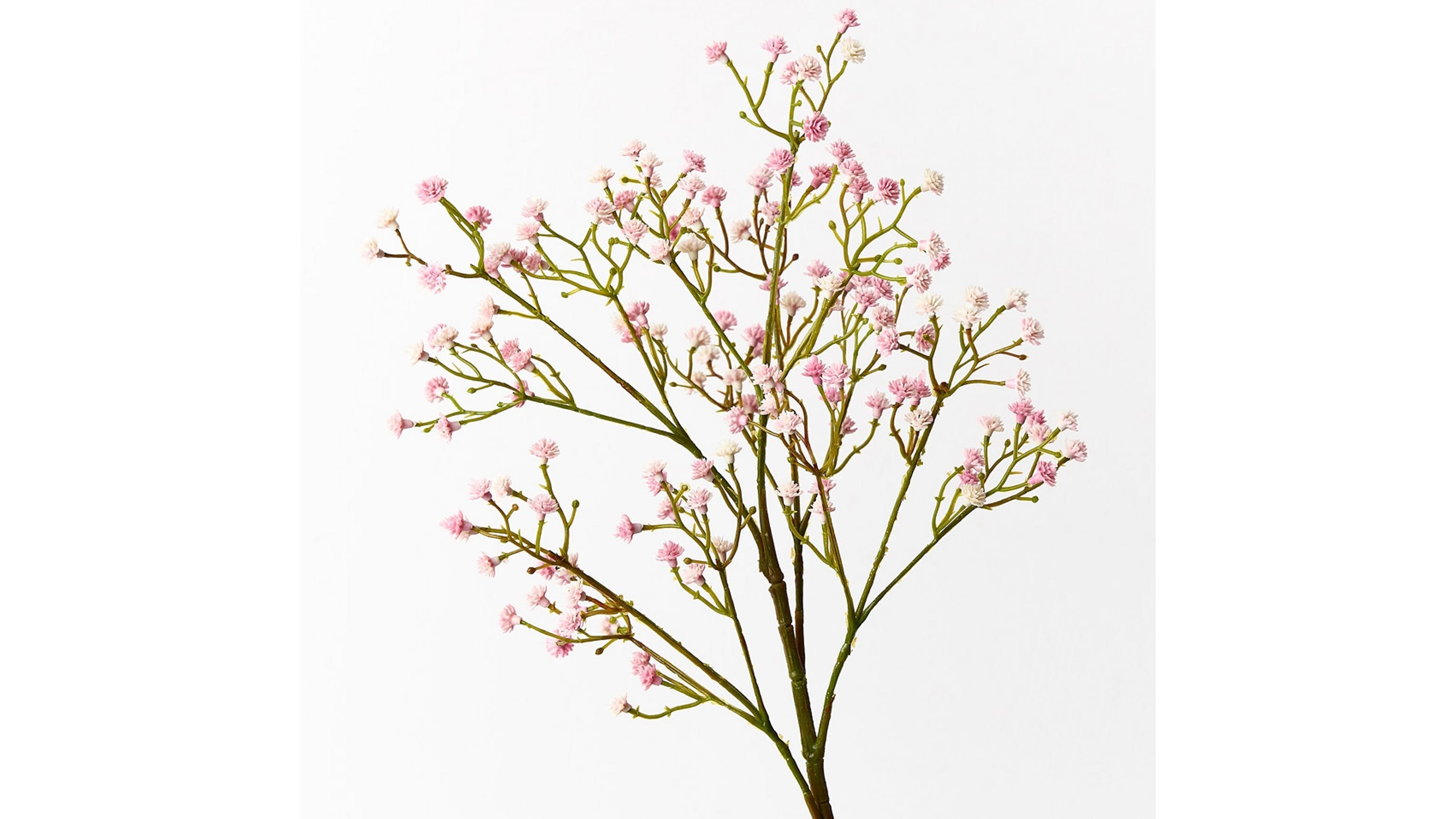 Babys Breath Spray in Light Pink