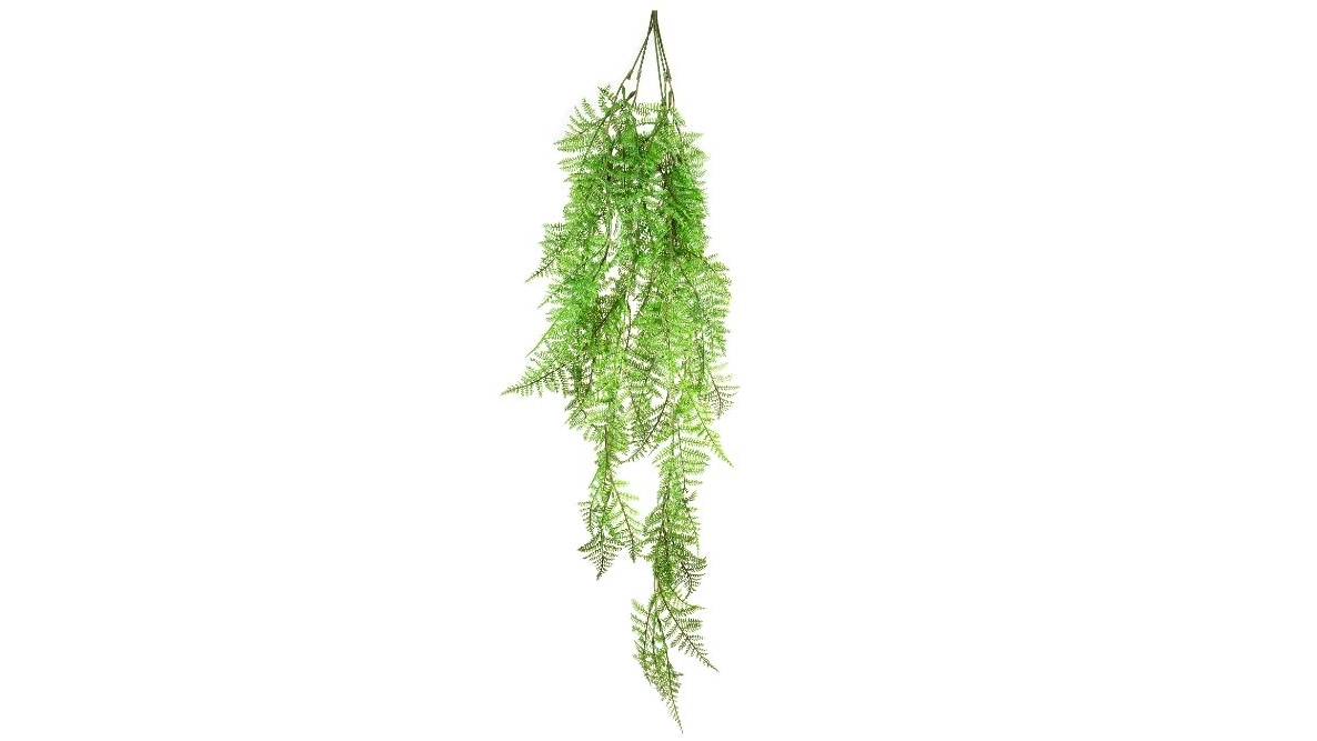 Boston 111cm Hanging Fern
