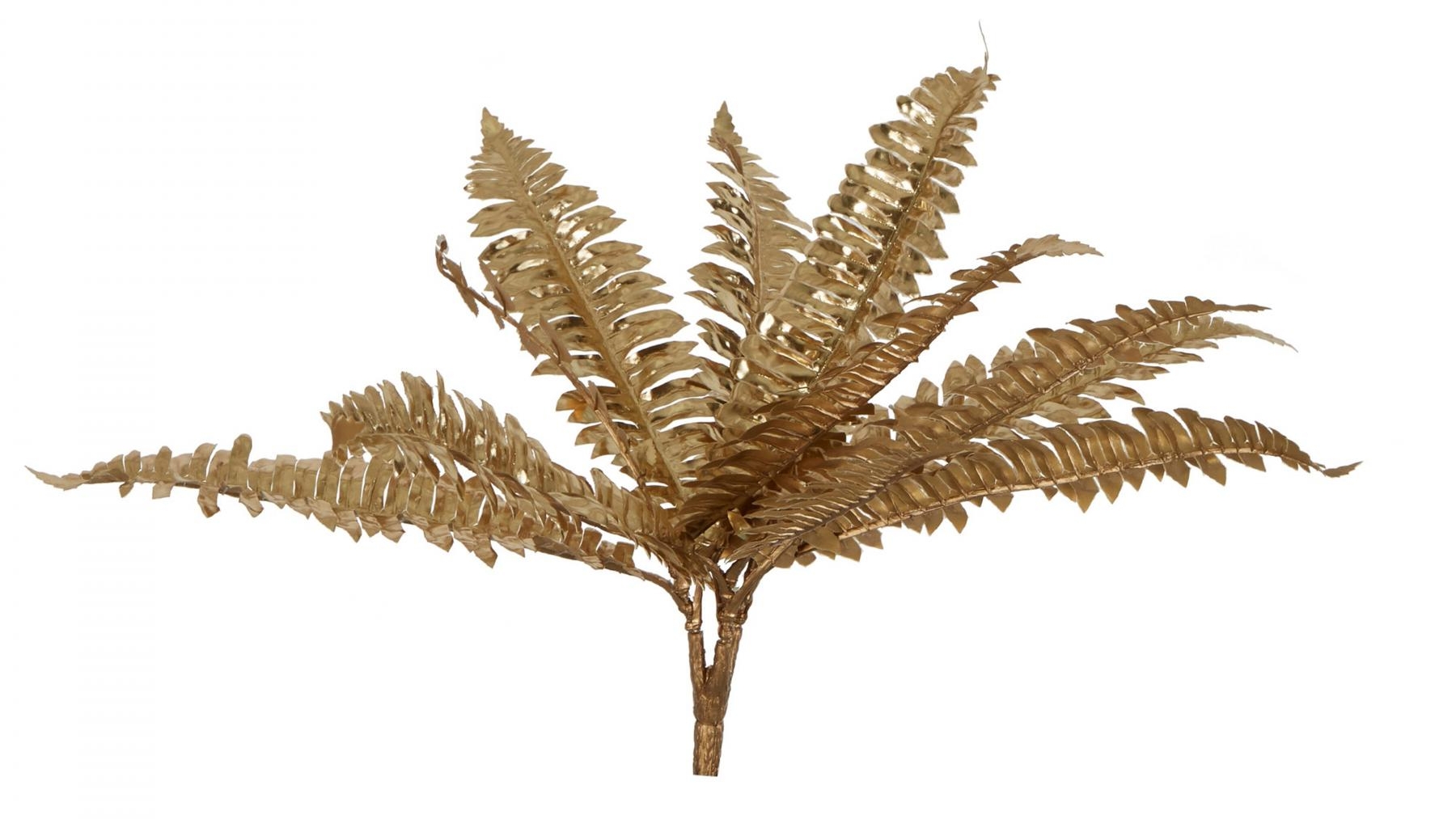 Boston Metallic Gold Fern