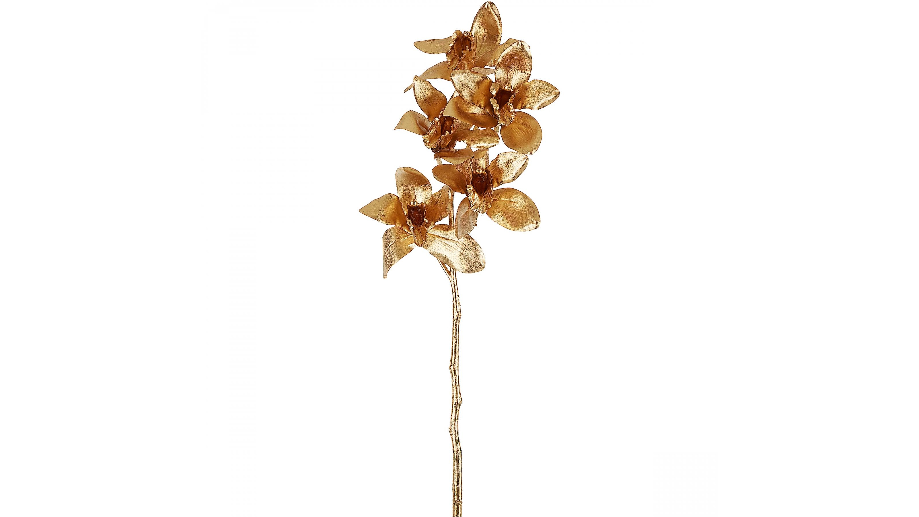 Cymbidium Metallic Gold Orchid Stem