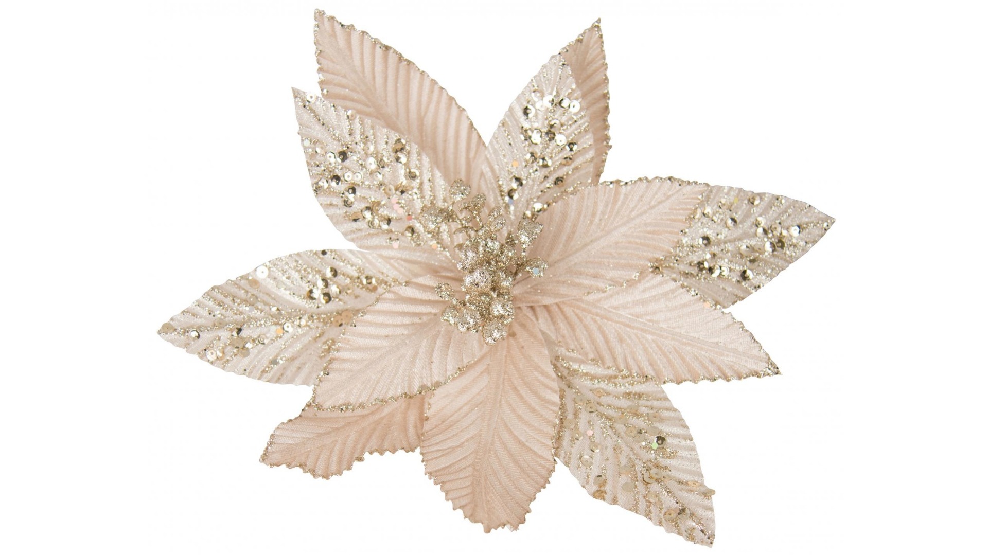 Clip on Poinsettia in Champagne Ribbed and Glitter