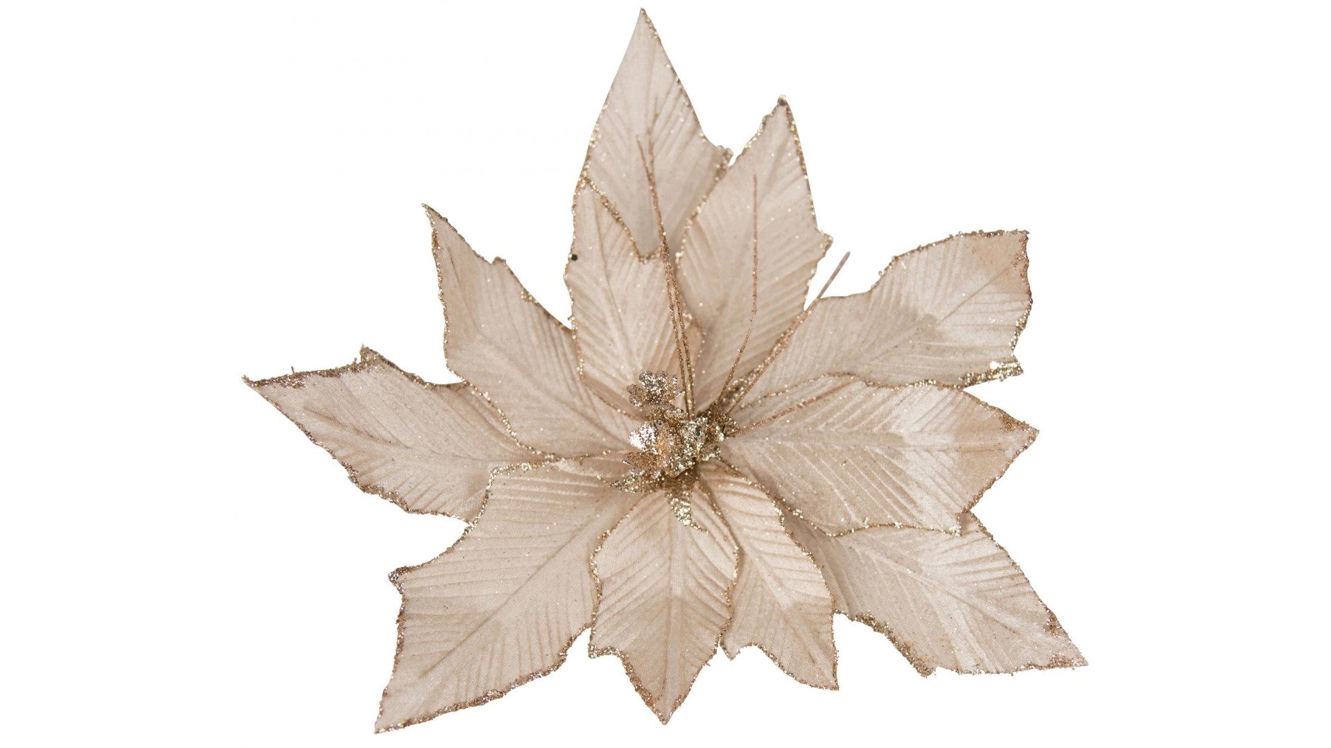 Clip on 11 Leaf Poinsettia in Shiny Champagne