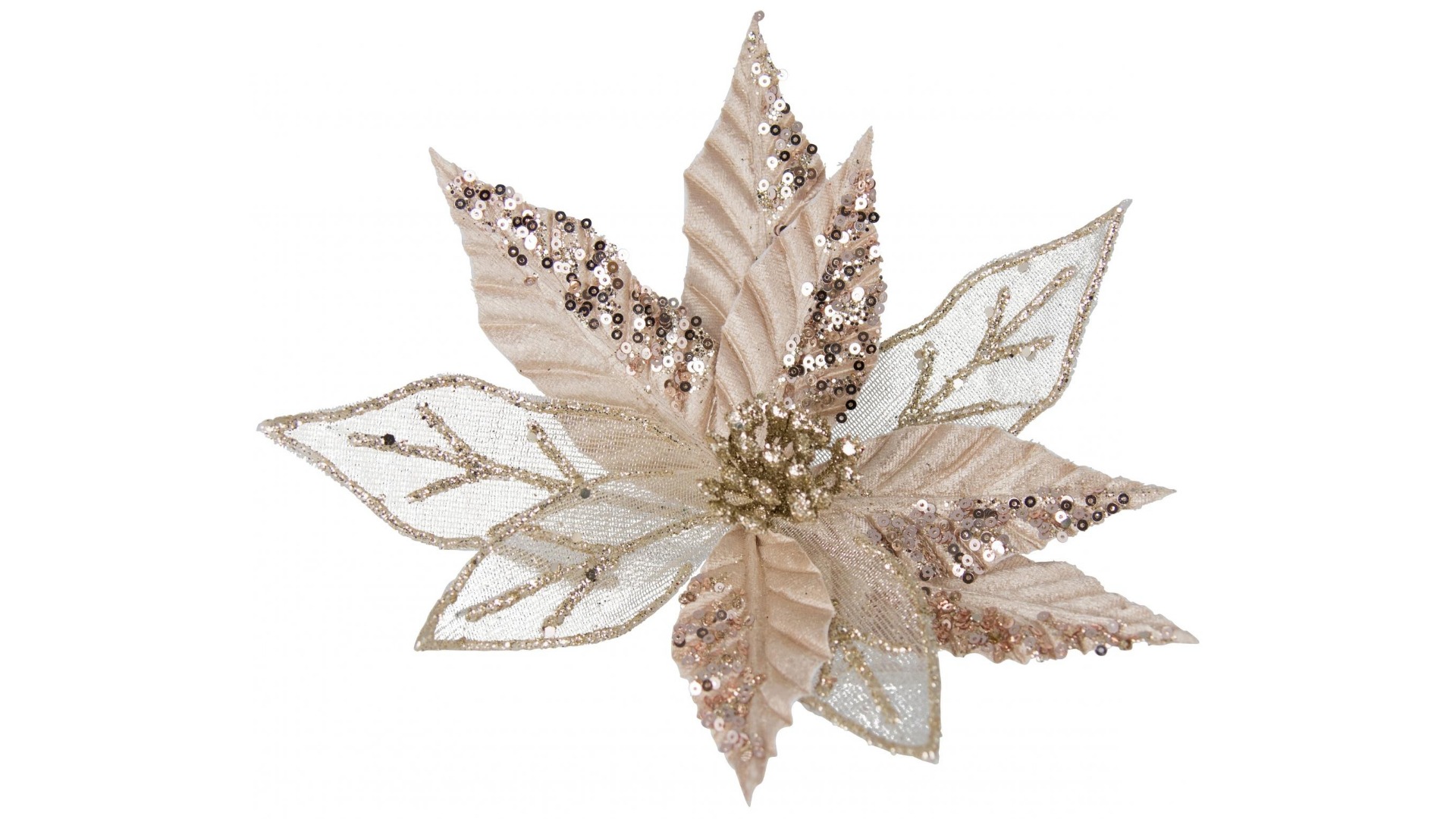 Clip on Sheer Encrusted Poinsettia in Champagne