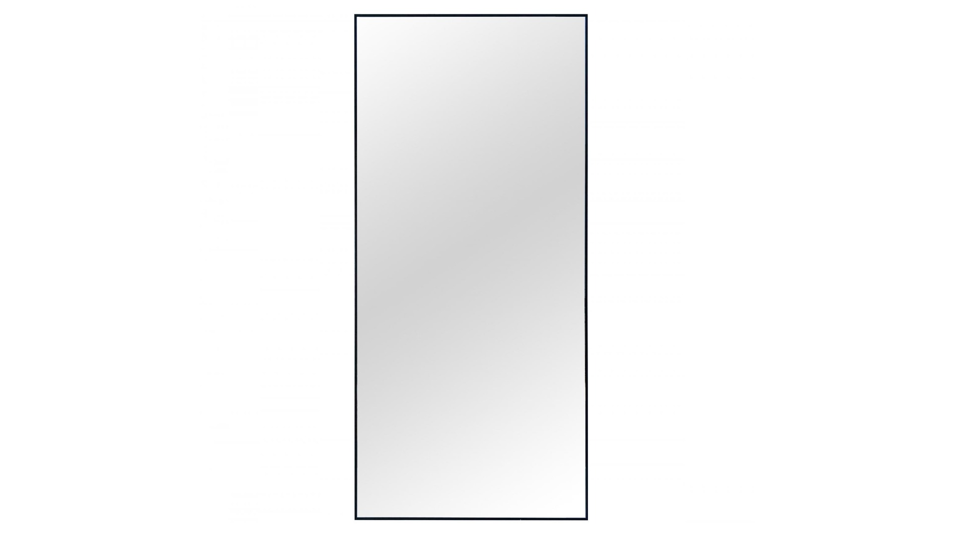 Jarred Rectangular Floor Mirror in Black