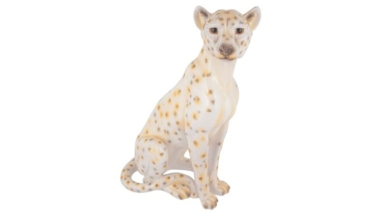 Nepal Cheetah in White