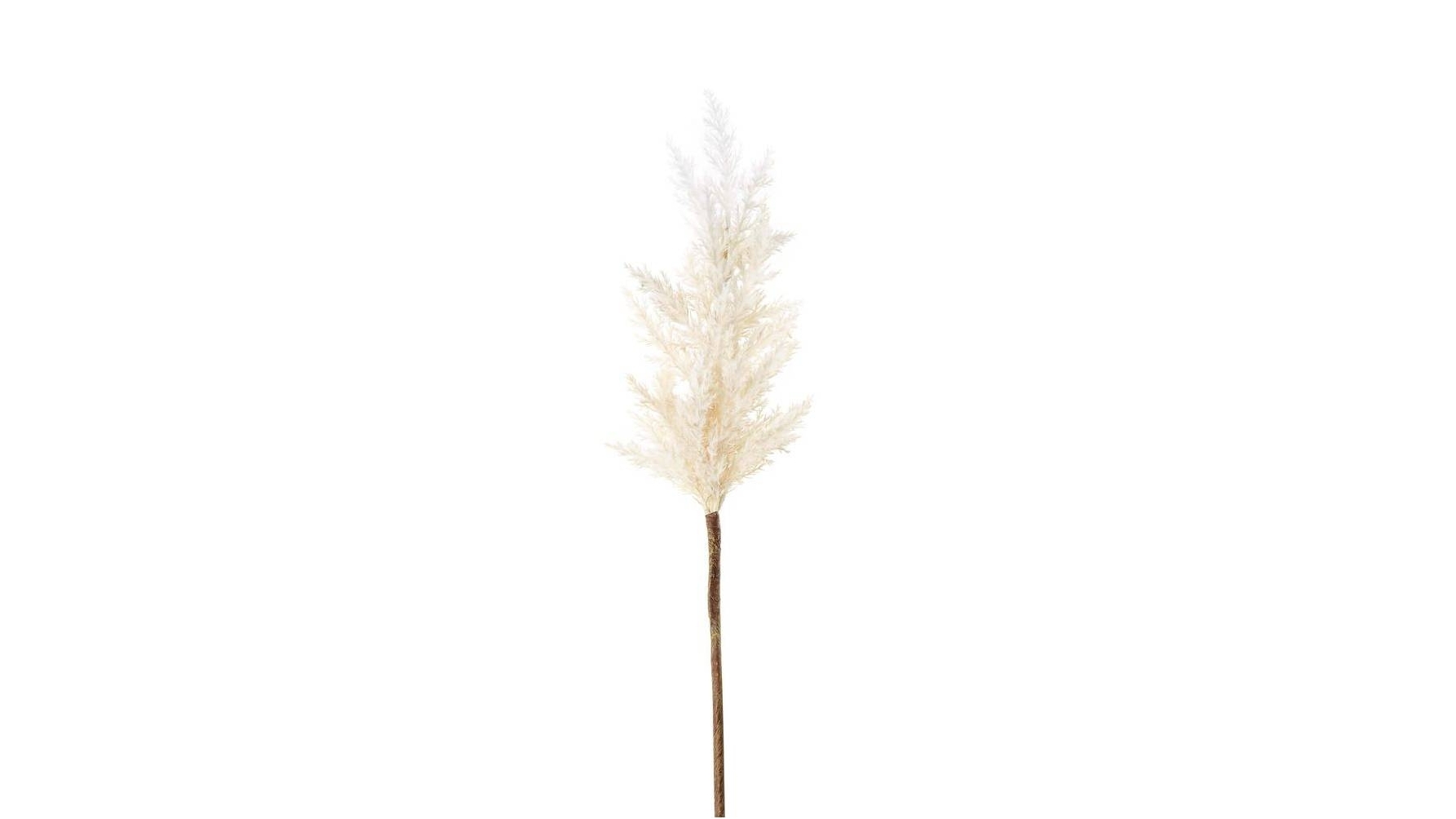 Pampas/Wheat 75cm Stem - White