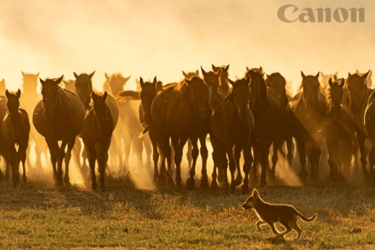  Personalise with Logos 